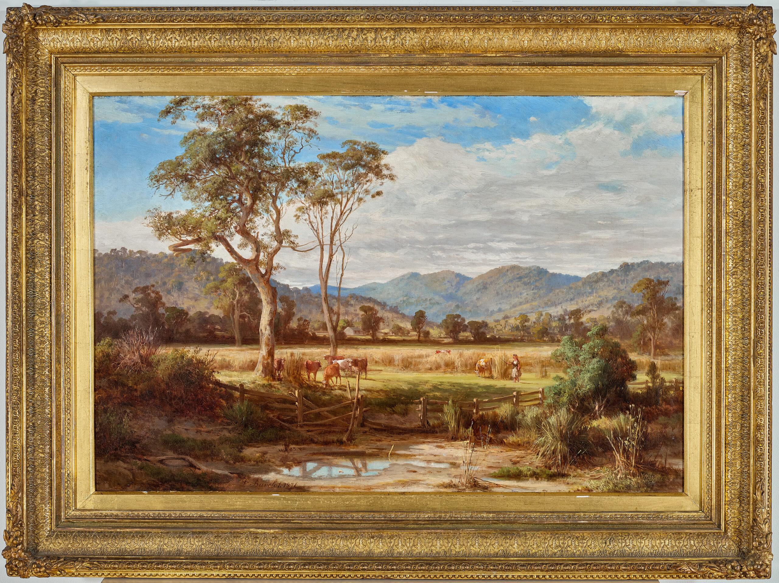 BACCHUS MARSH PASTURE