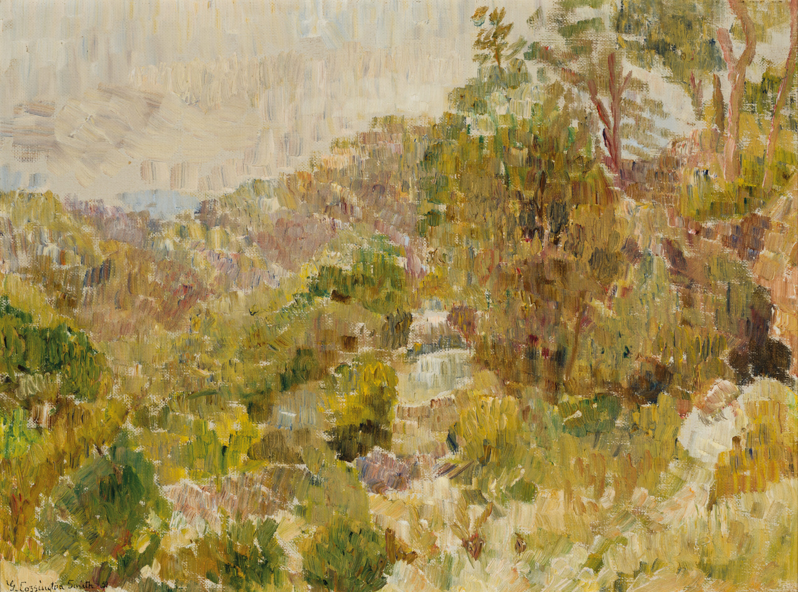 BUSH IN KURINGAI CHASE