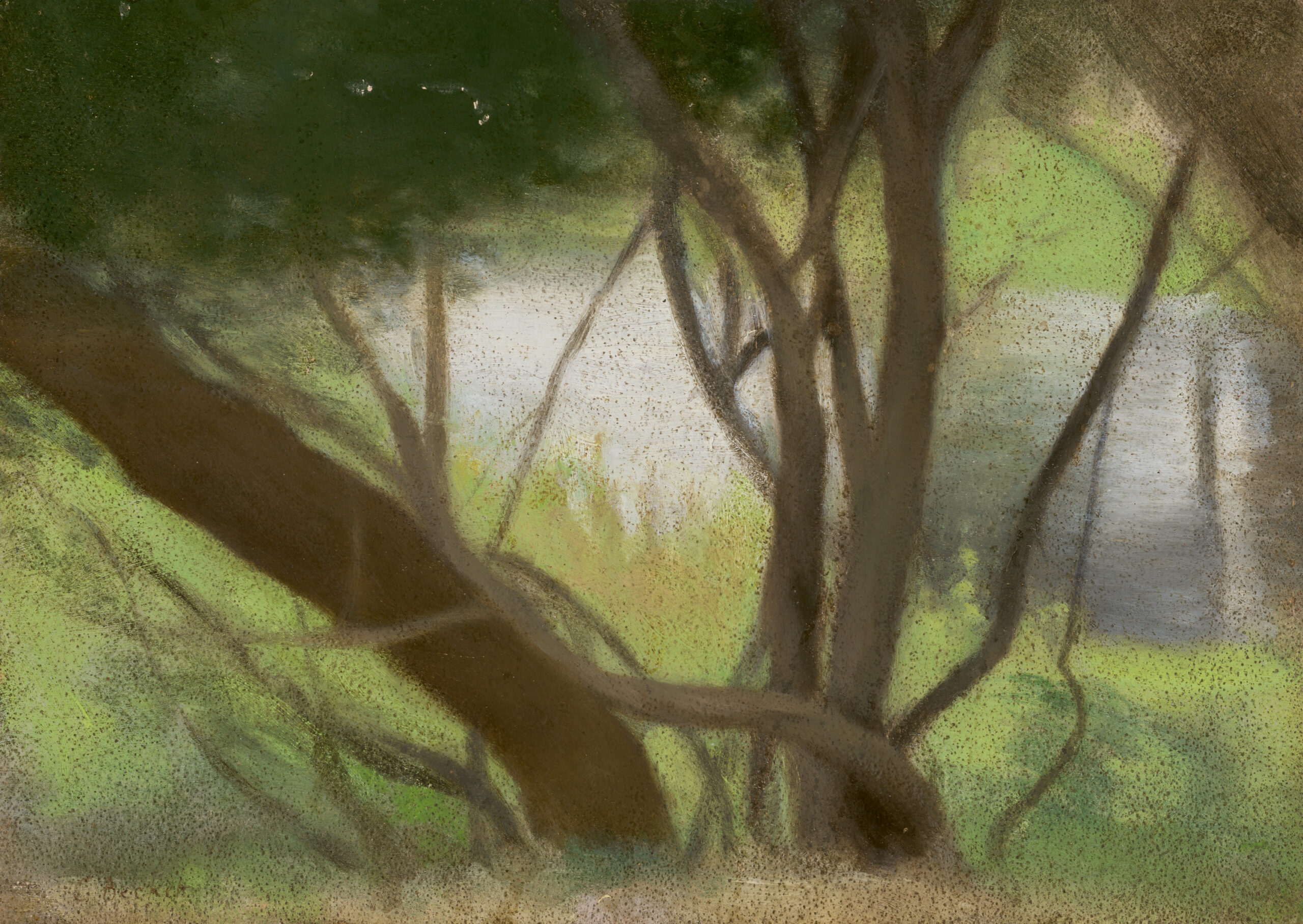 TREES BESIDE THE YARRA RIVER