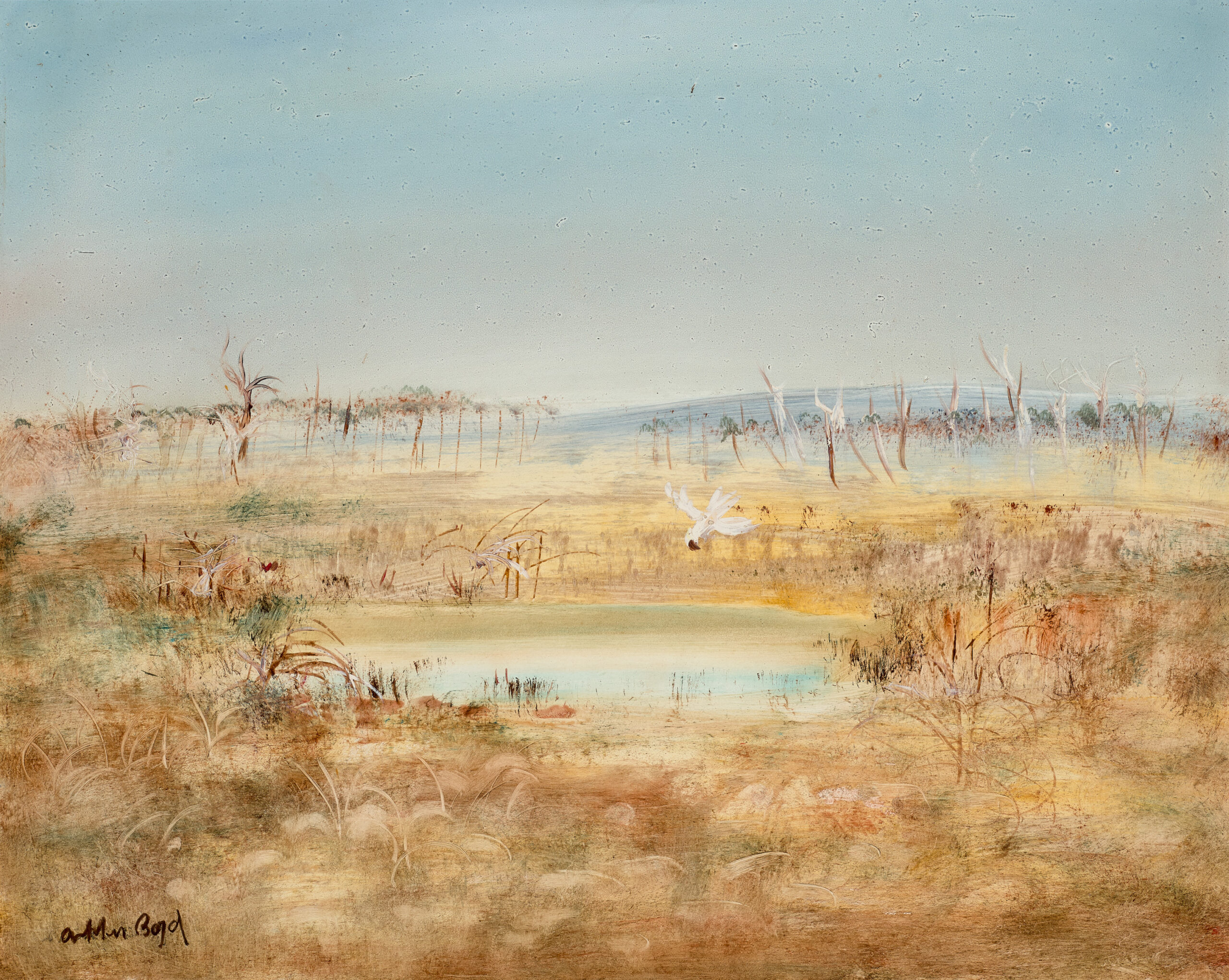 WIMMERA LANDSCAPE WITH DAM AND WHITE COCKATOO