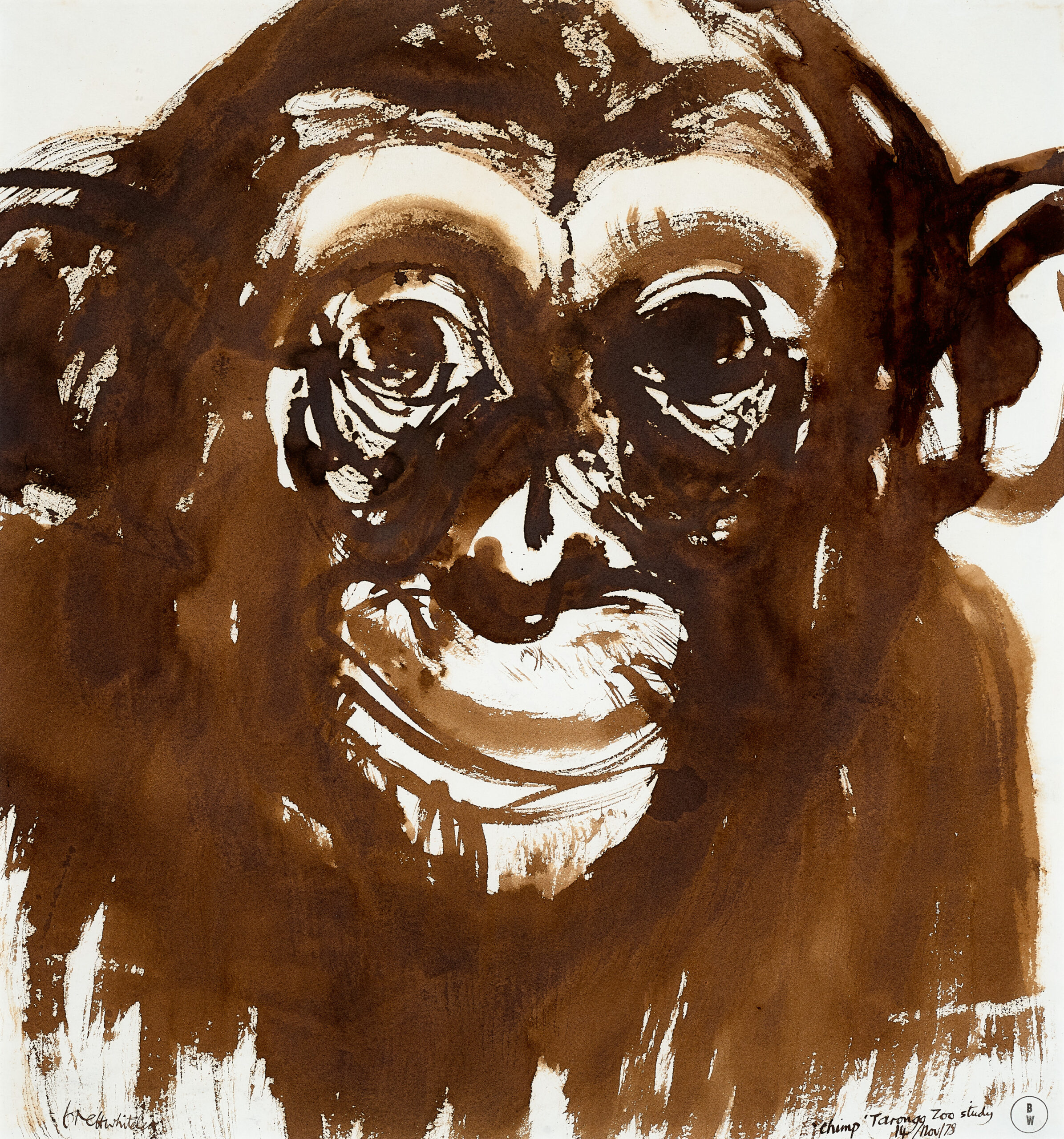CHIMP TARONGA ZOO STUDY, VERSO: UNTITLED (FIG TREE)