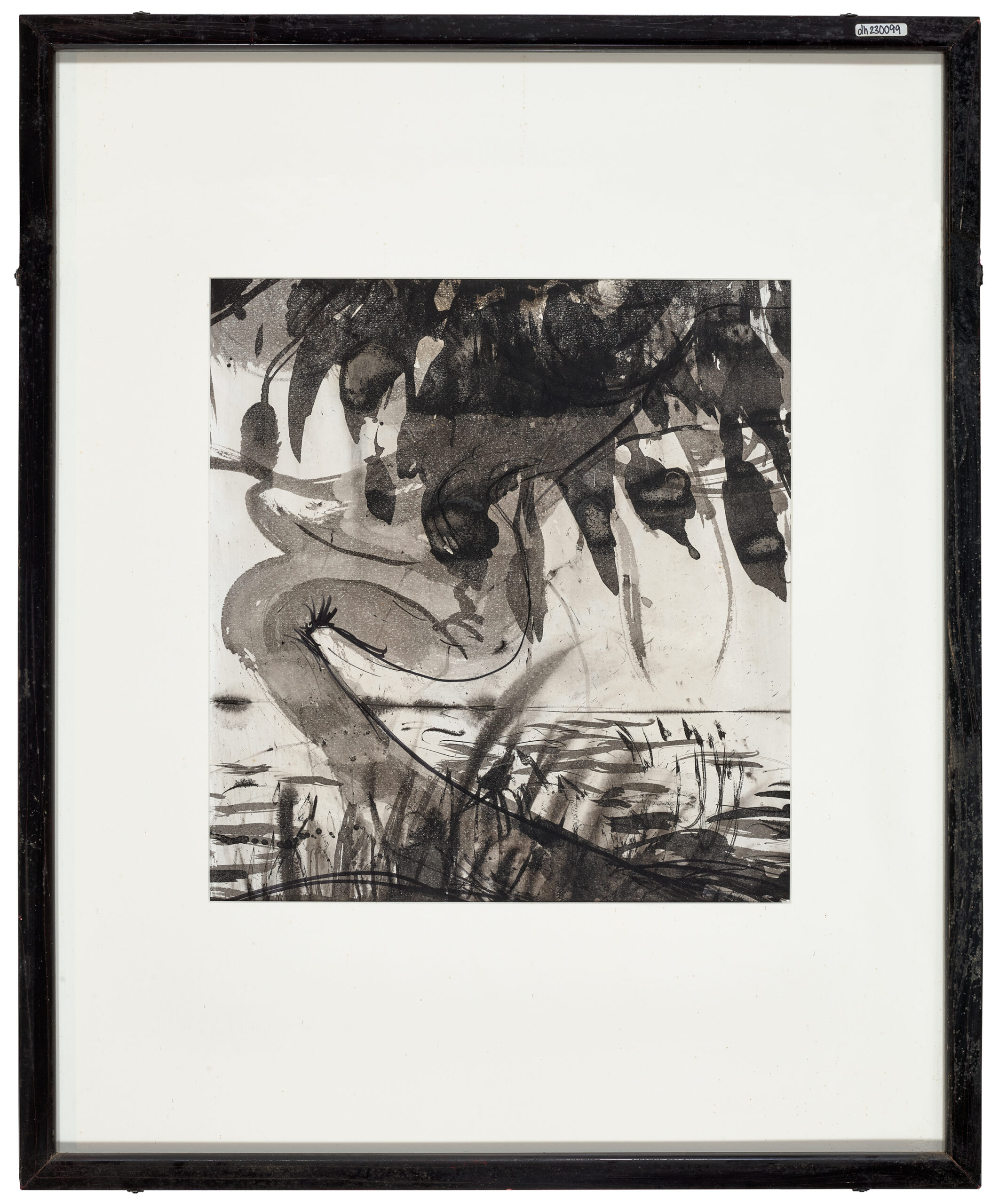 CHIMP TARONGA ZOO STUDY, VERSO: UNTITLED (FIG TREE)