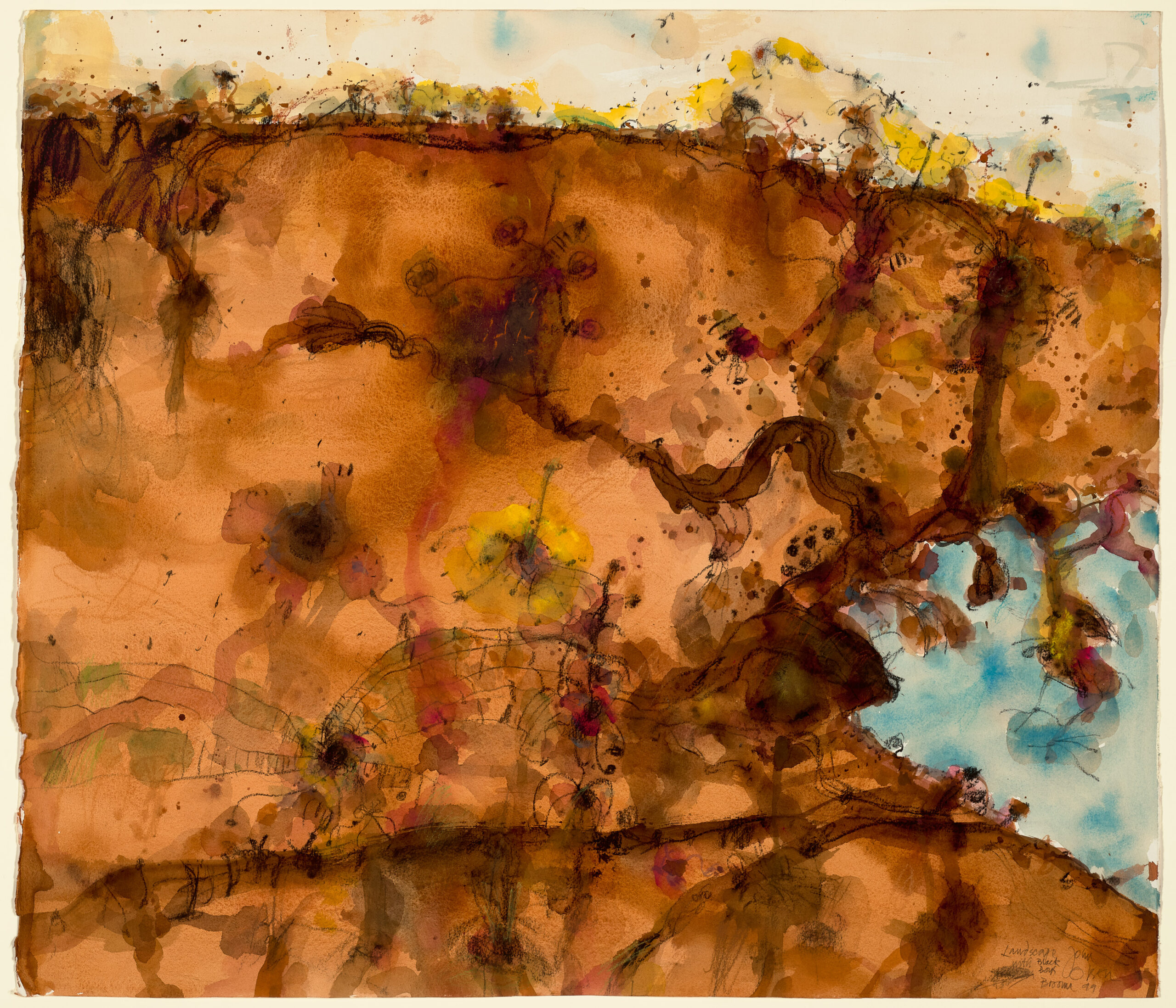 LANDSCAPE WITH BLACKBOYS, BROOME