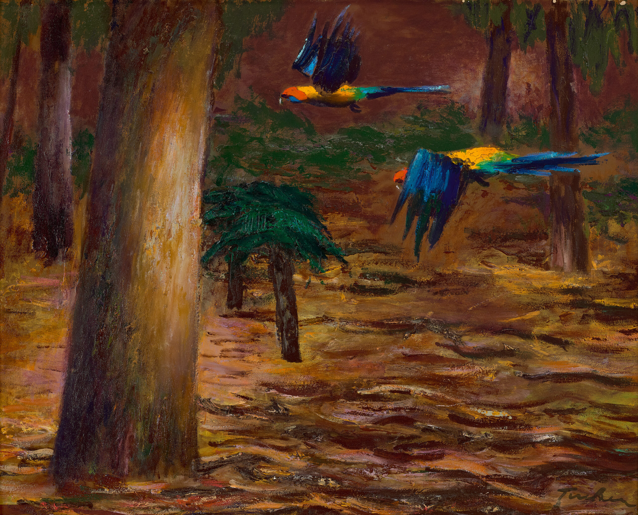 PARROTS IN FLIGHT