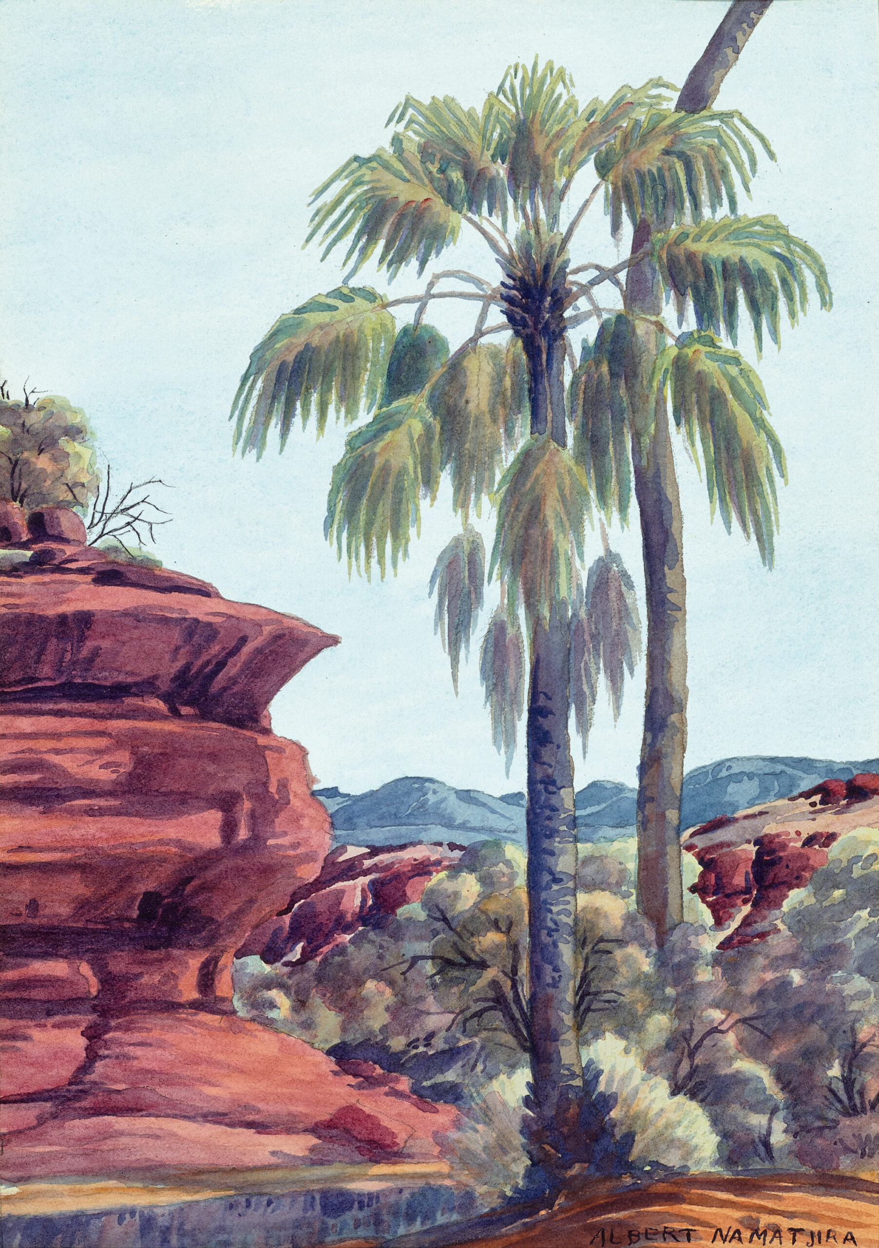 PALM VALLEY