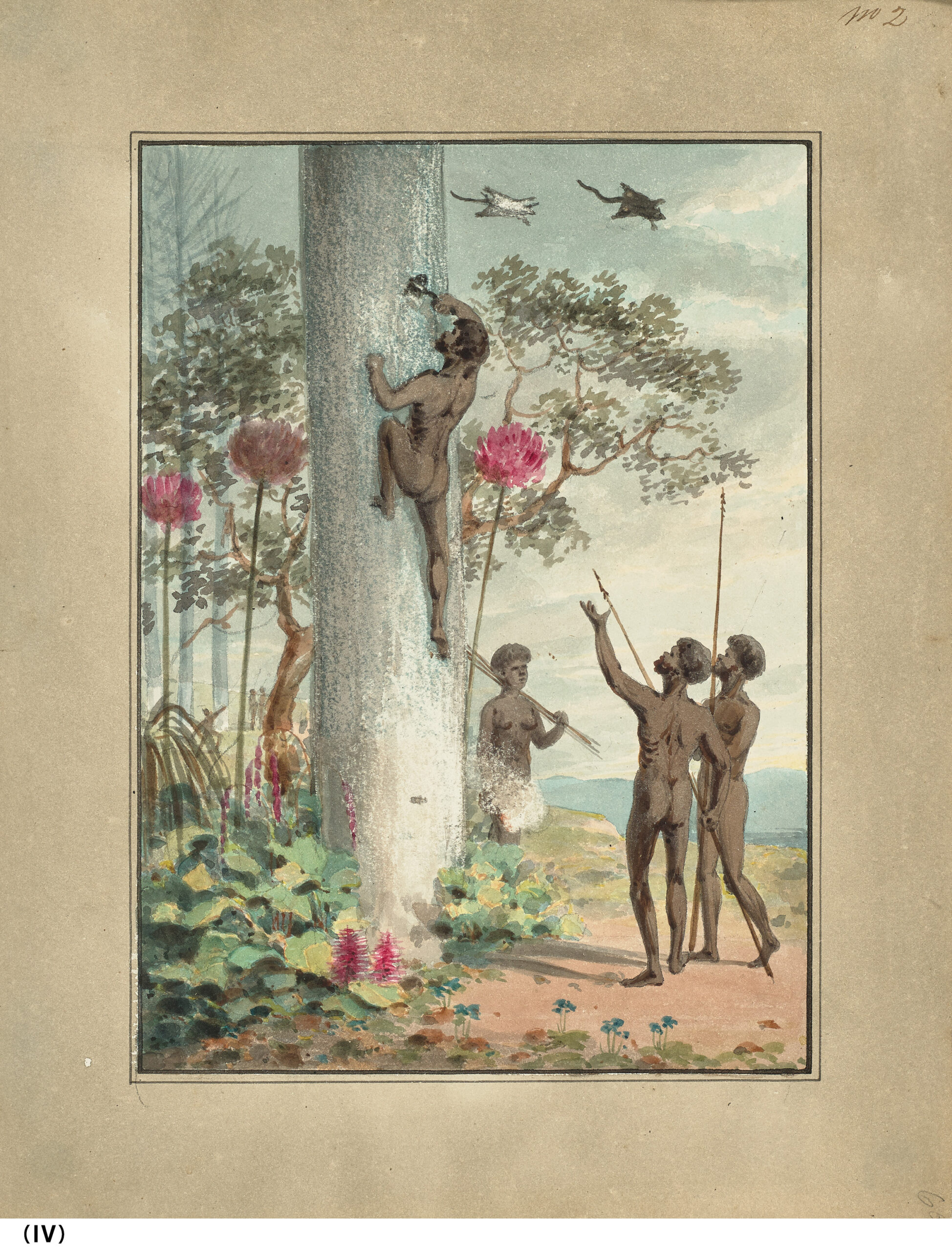 FIELD SPORTS OF THE NATIVE INHABITANTS OF NEW SOUTH WALES