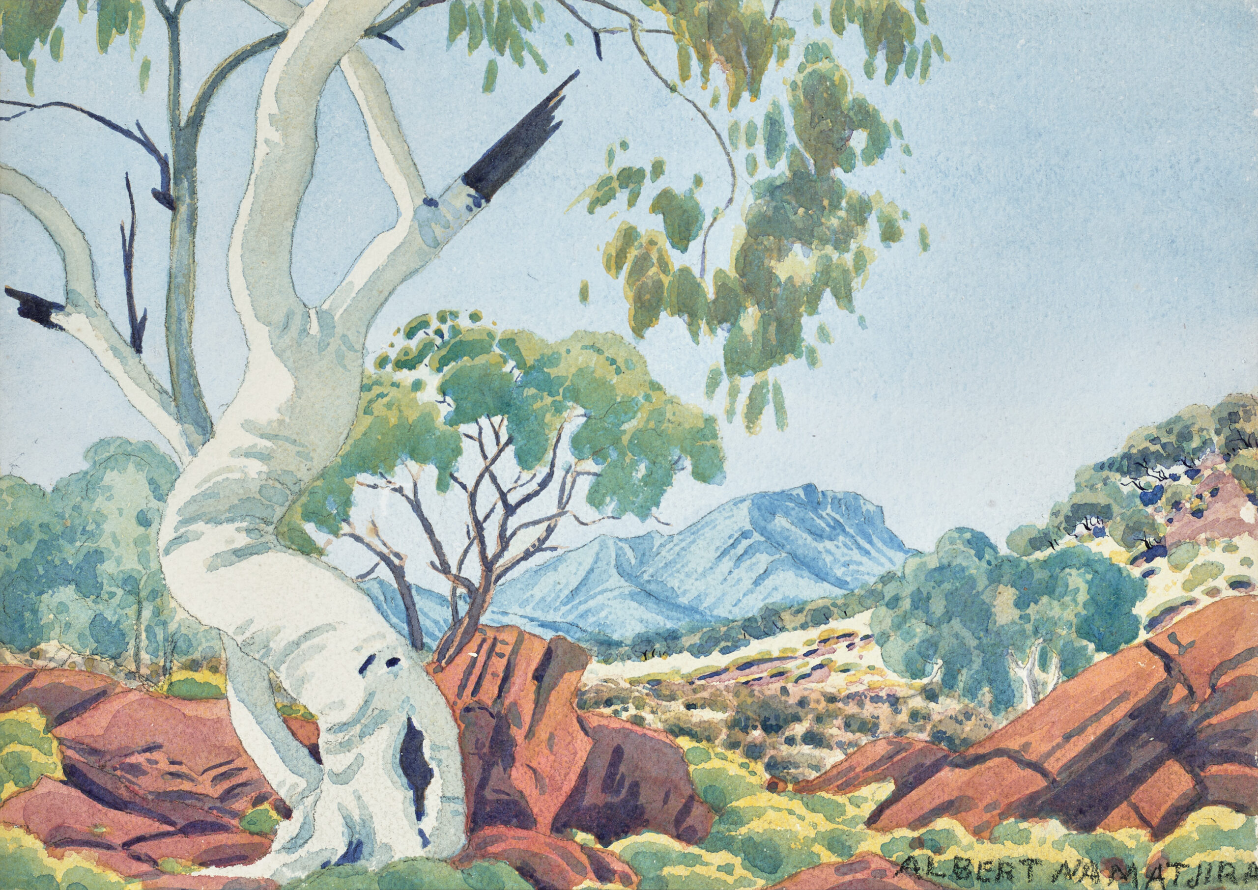 GHOST GUM, CENTRAL AUSTRALIA