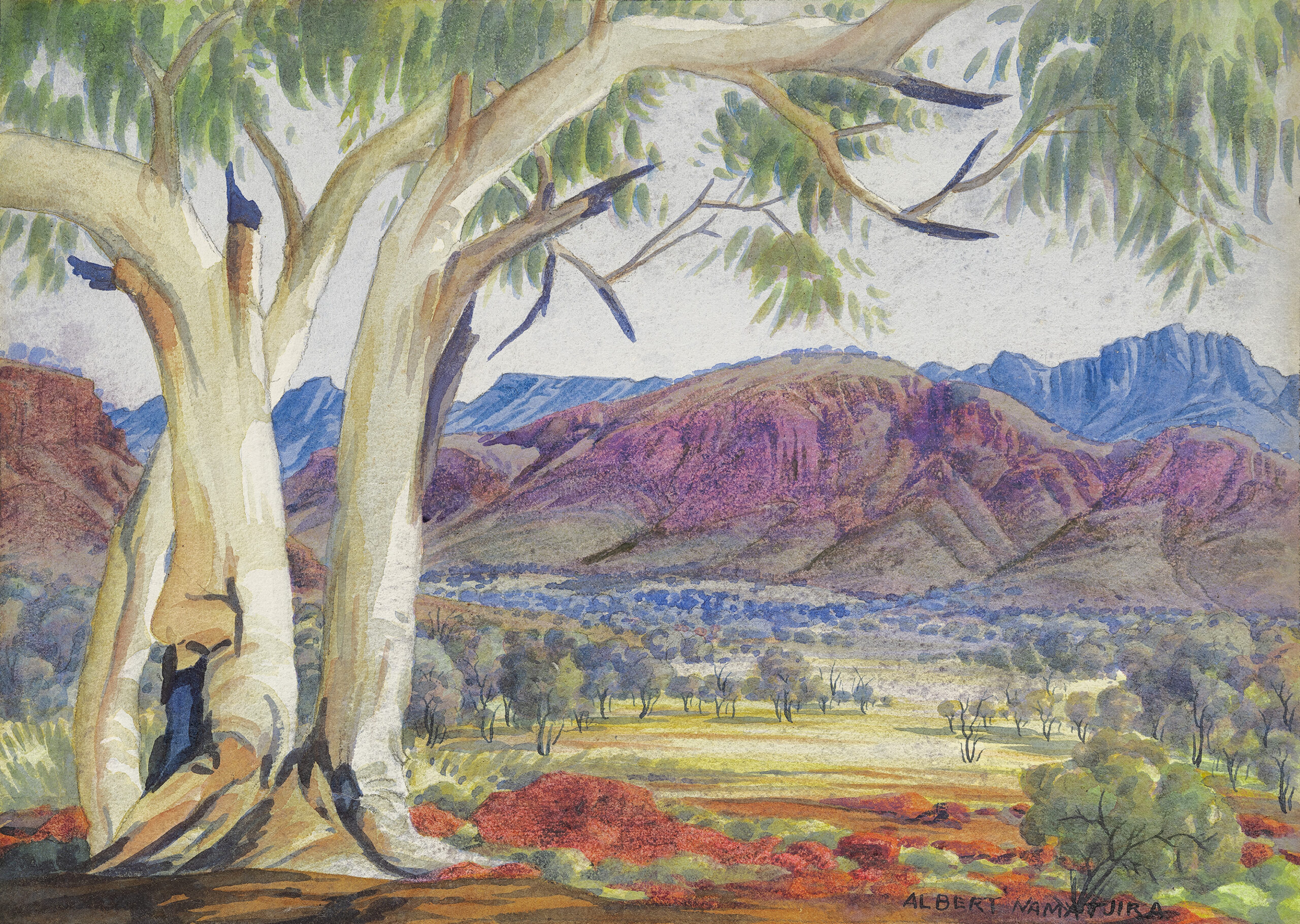 GHOST GUMS, MACDONNELL RANGES
