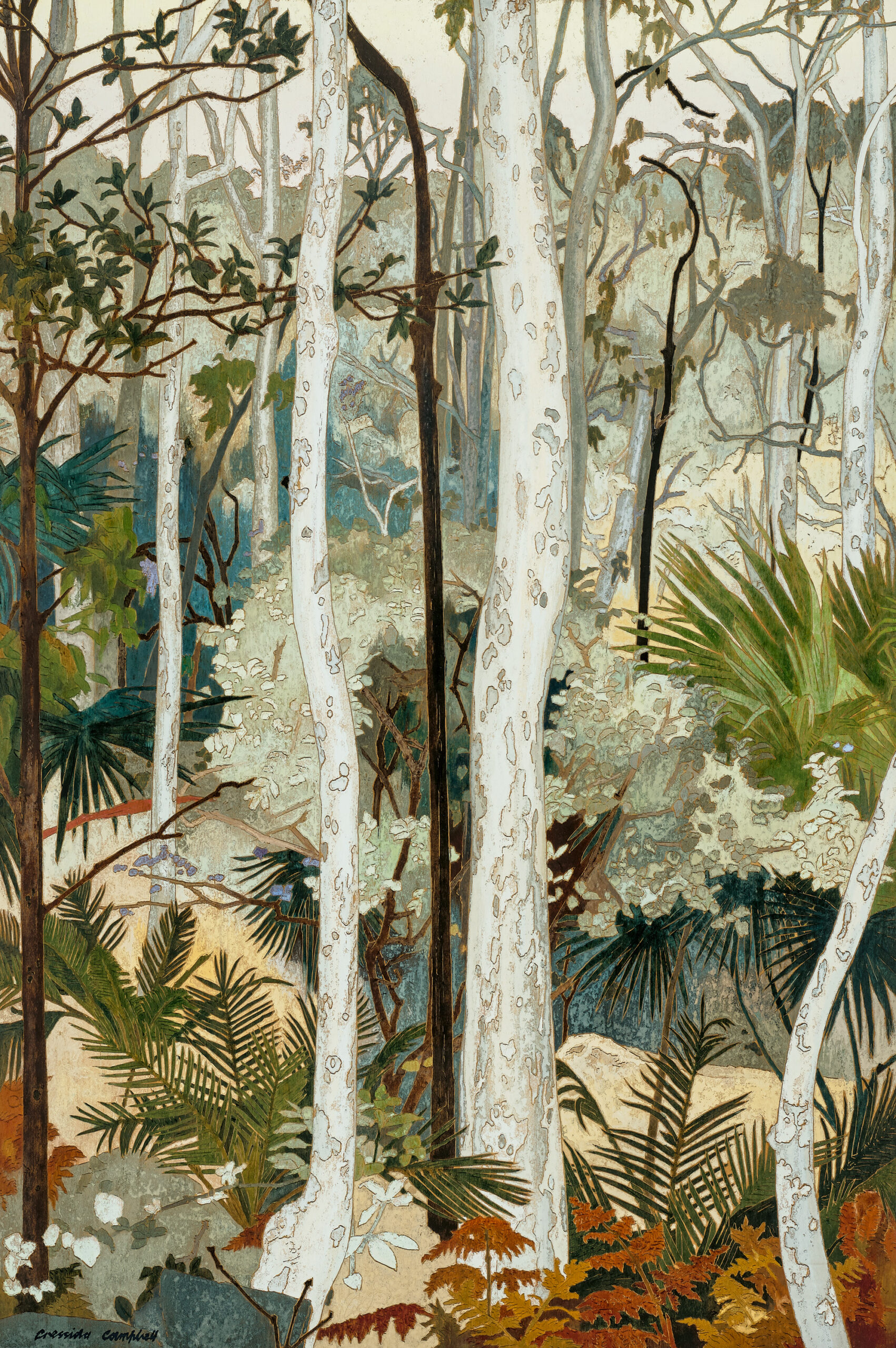 SPOTTED GUMS