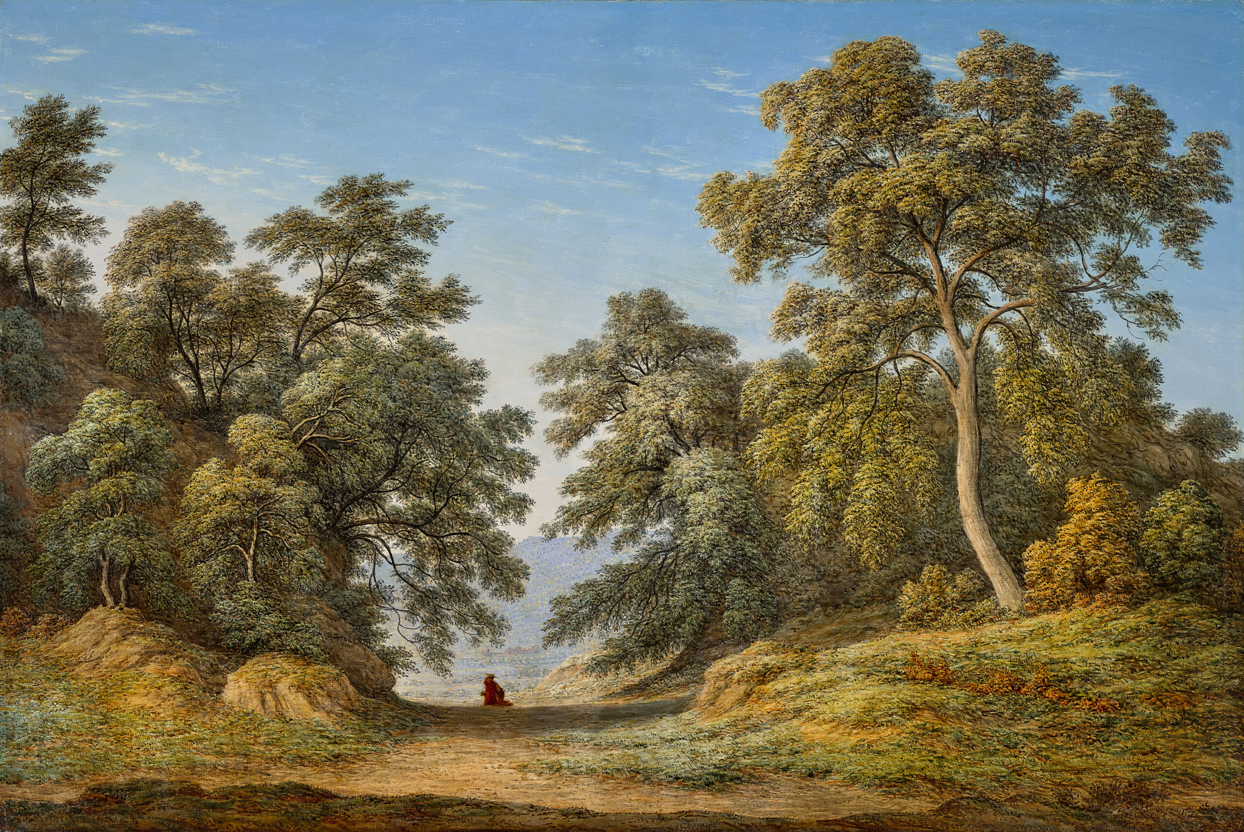 STUDY OF OAK TREES