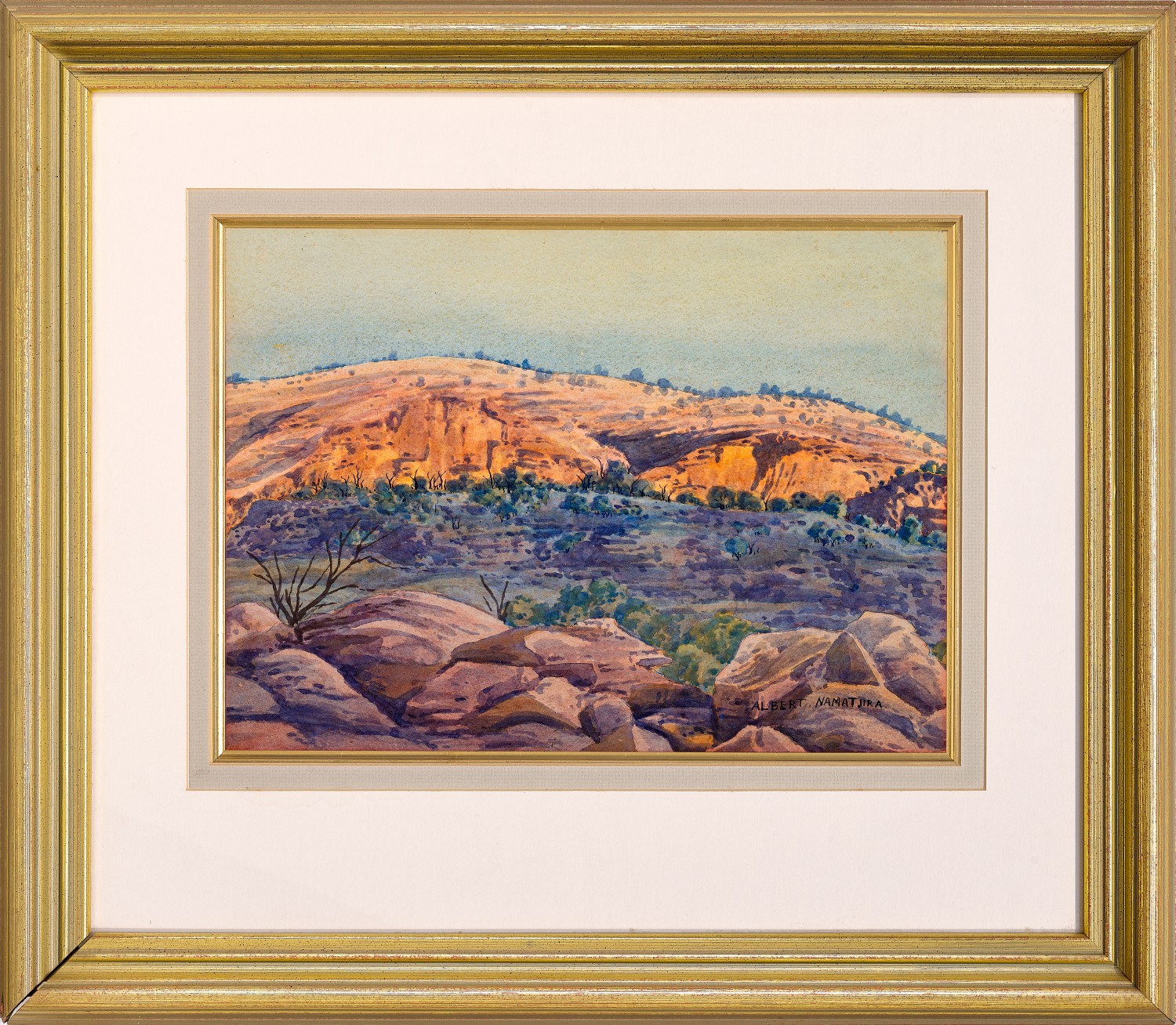 Central Australian landscape
