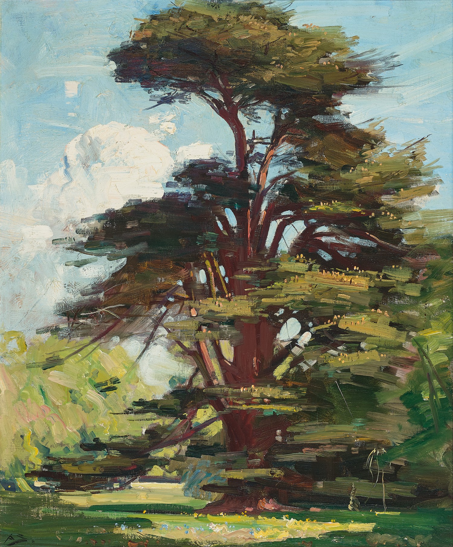CEDAR TREE, COOMBE BANK