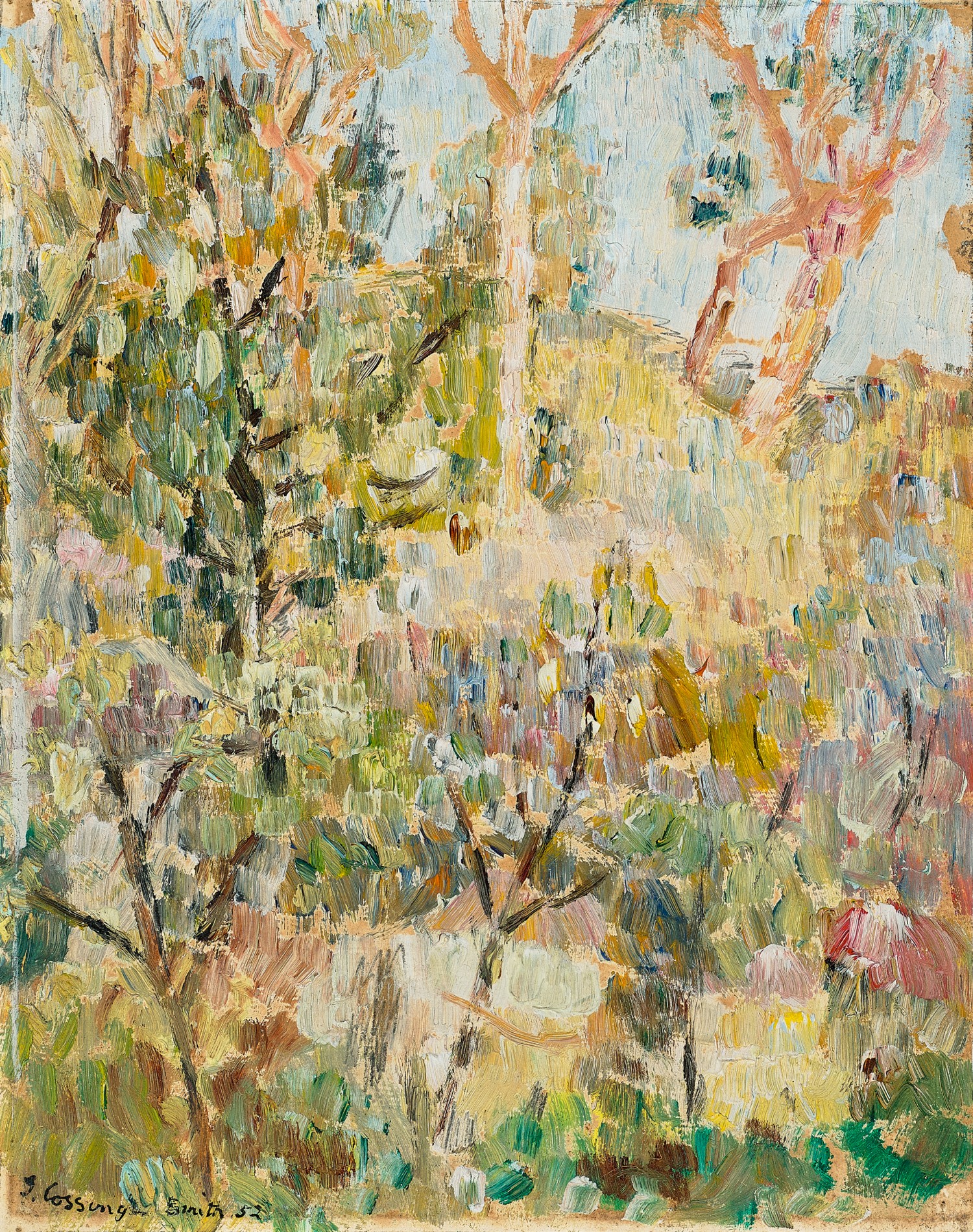 HILL IN THE BUSH