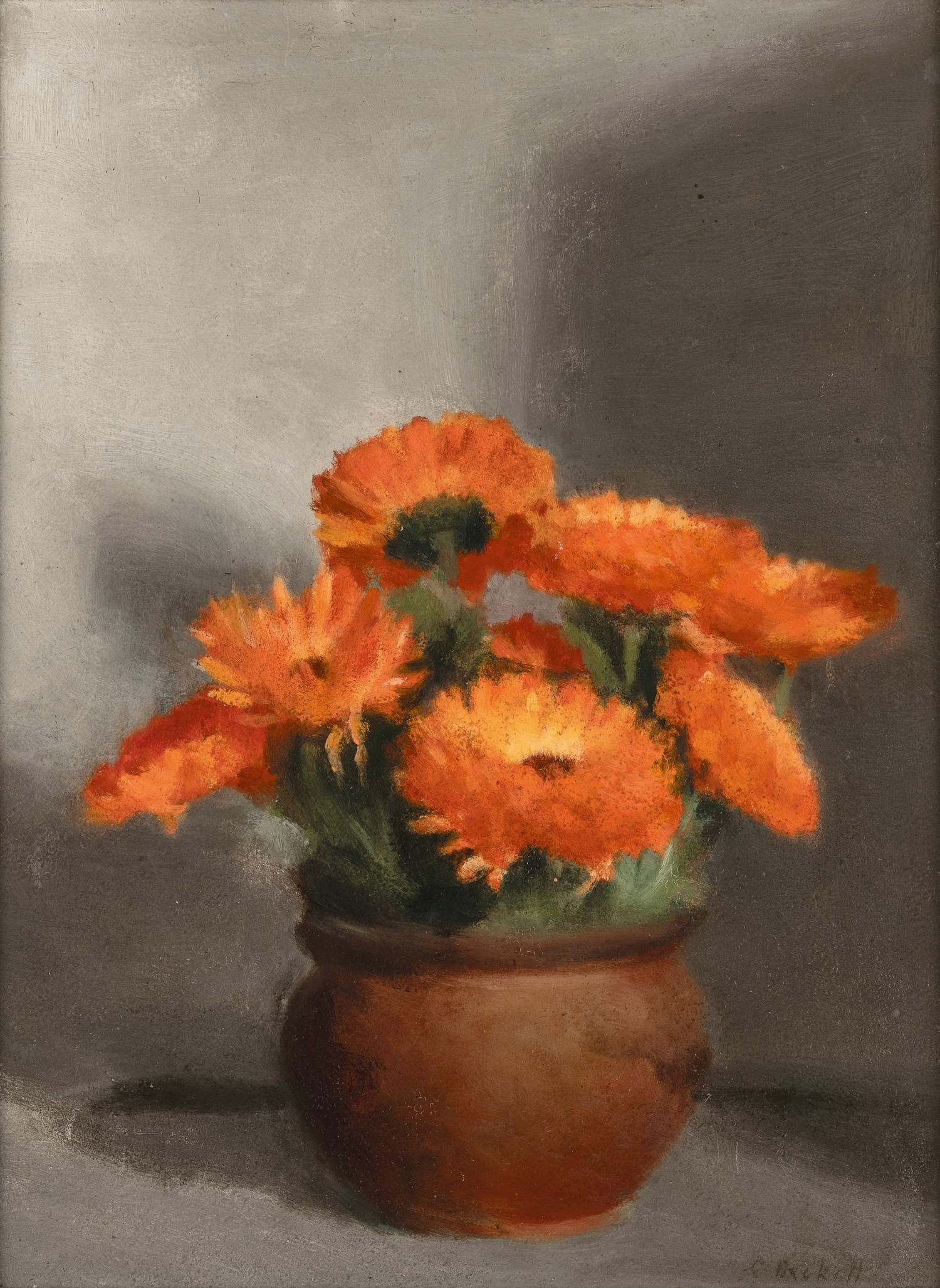 MARIGOLDS