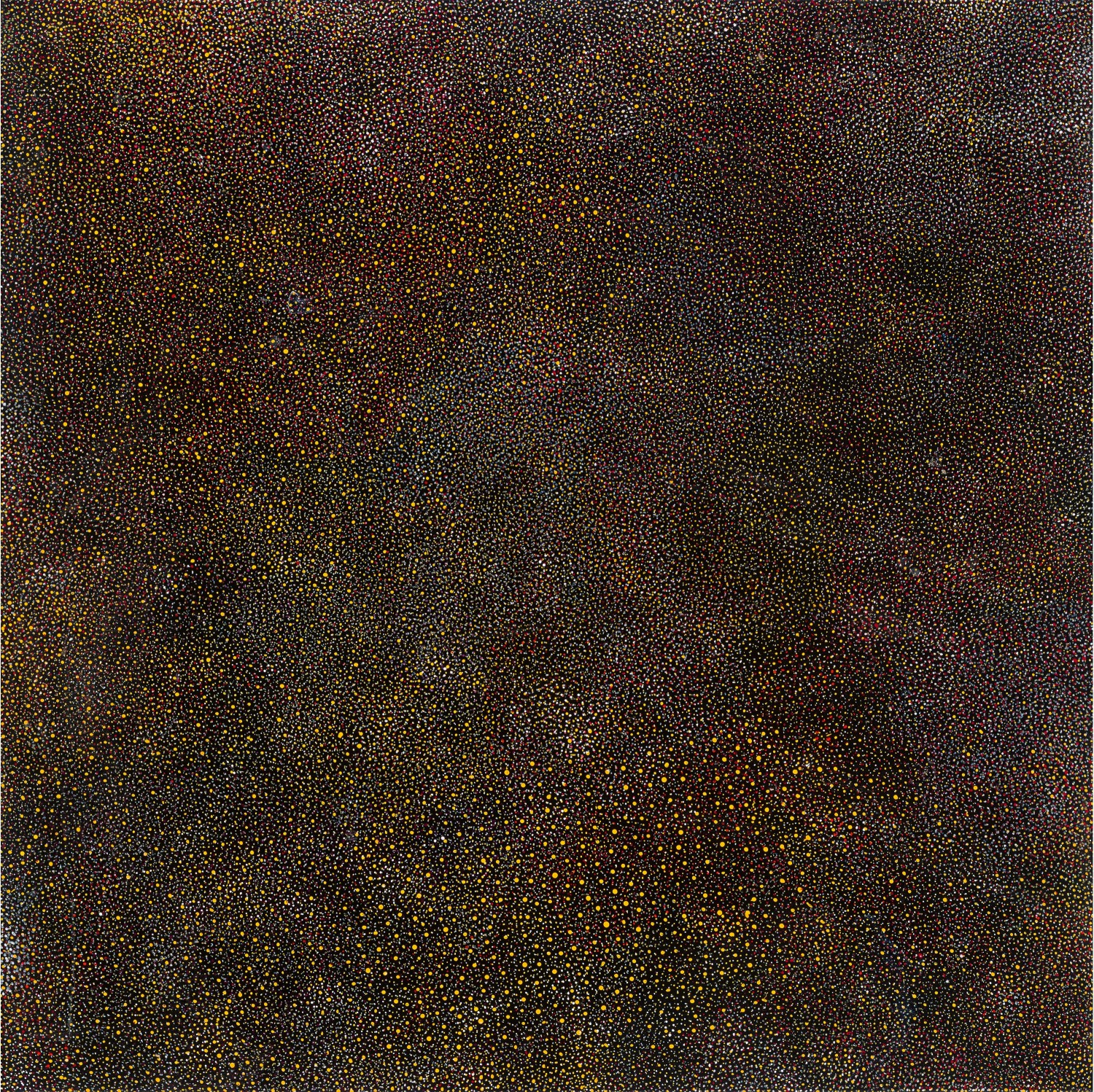 BUSH PLUM