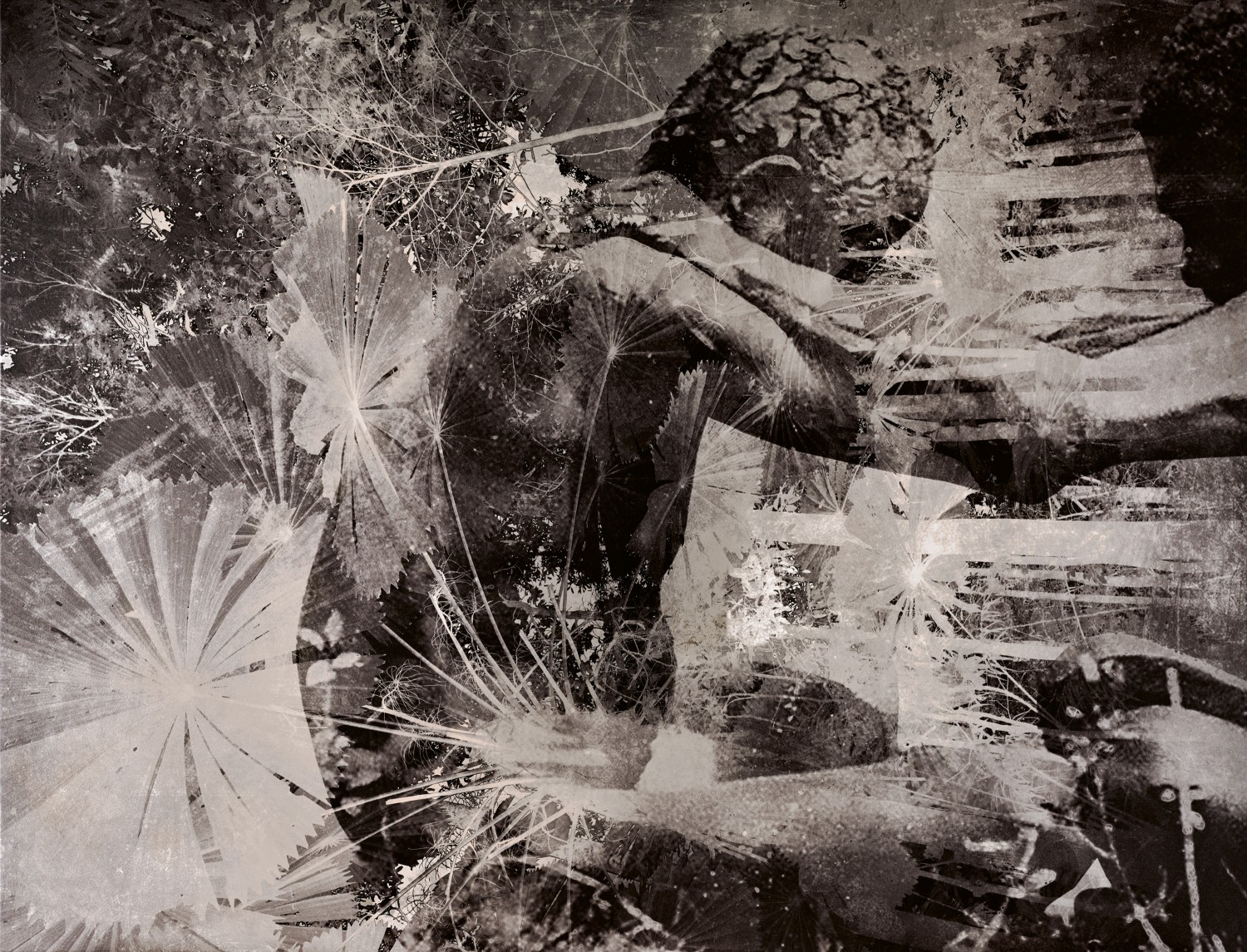 PERPETUAL (NGARAY)
