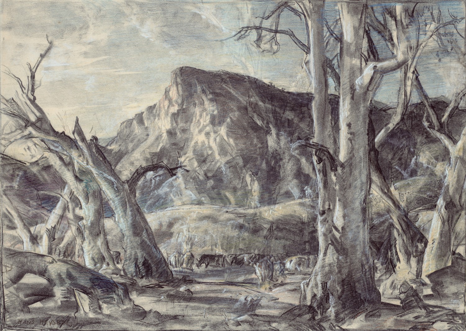CATTLE IN CREEK BED