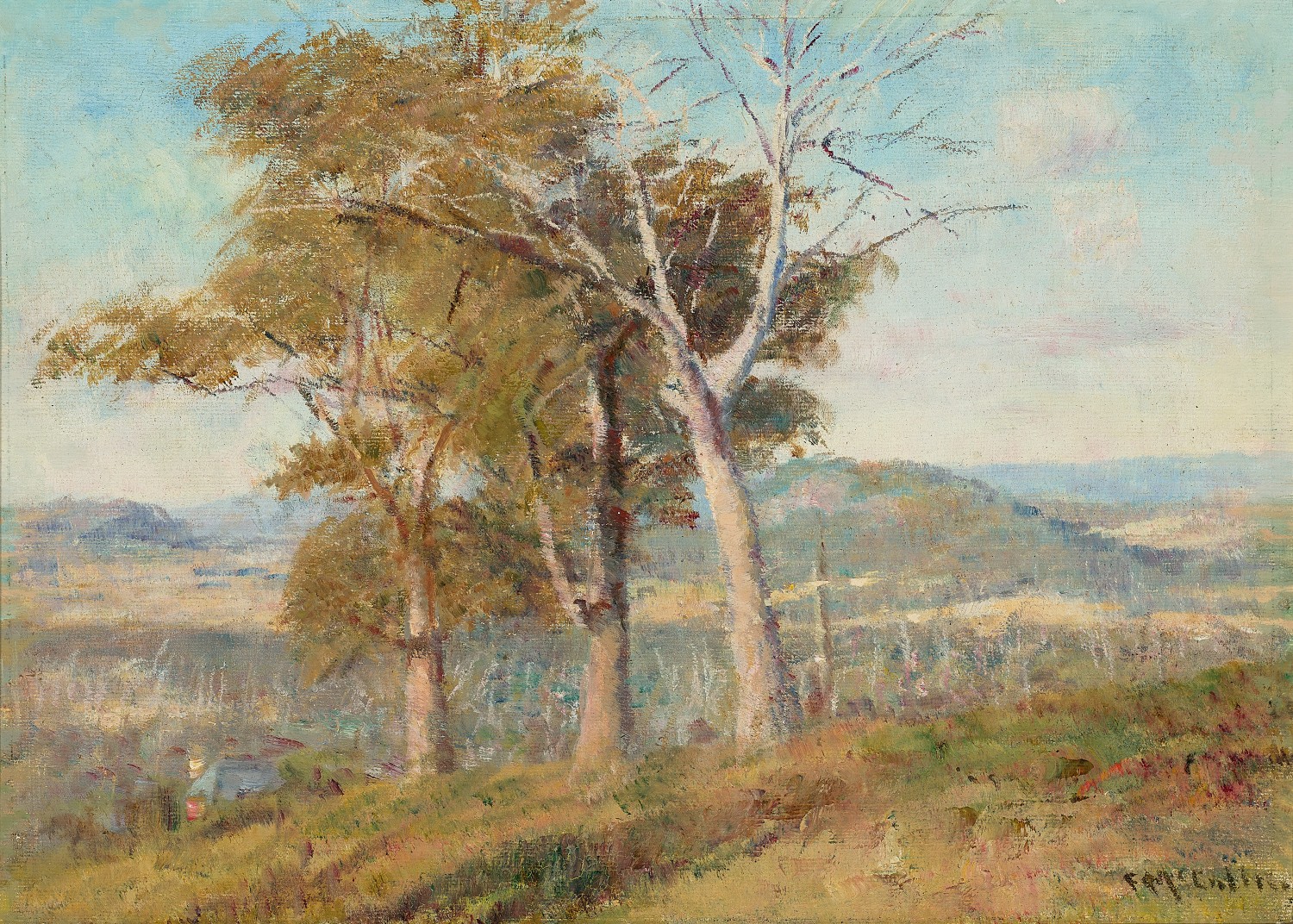 LANDSCAPE (MOUNT MACEDON)