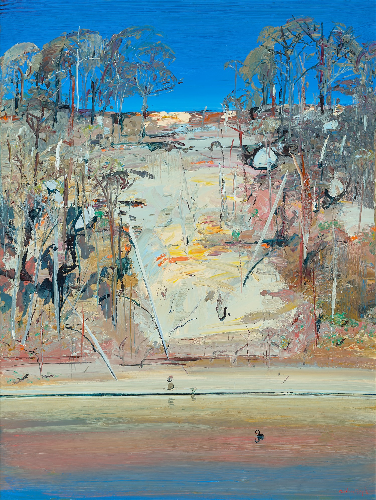 SHOALHAVEN RIVER LANDSCAPE