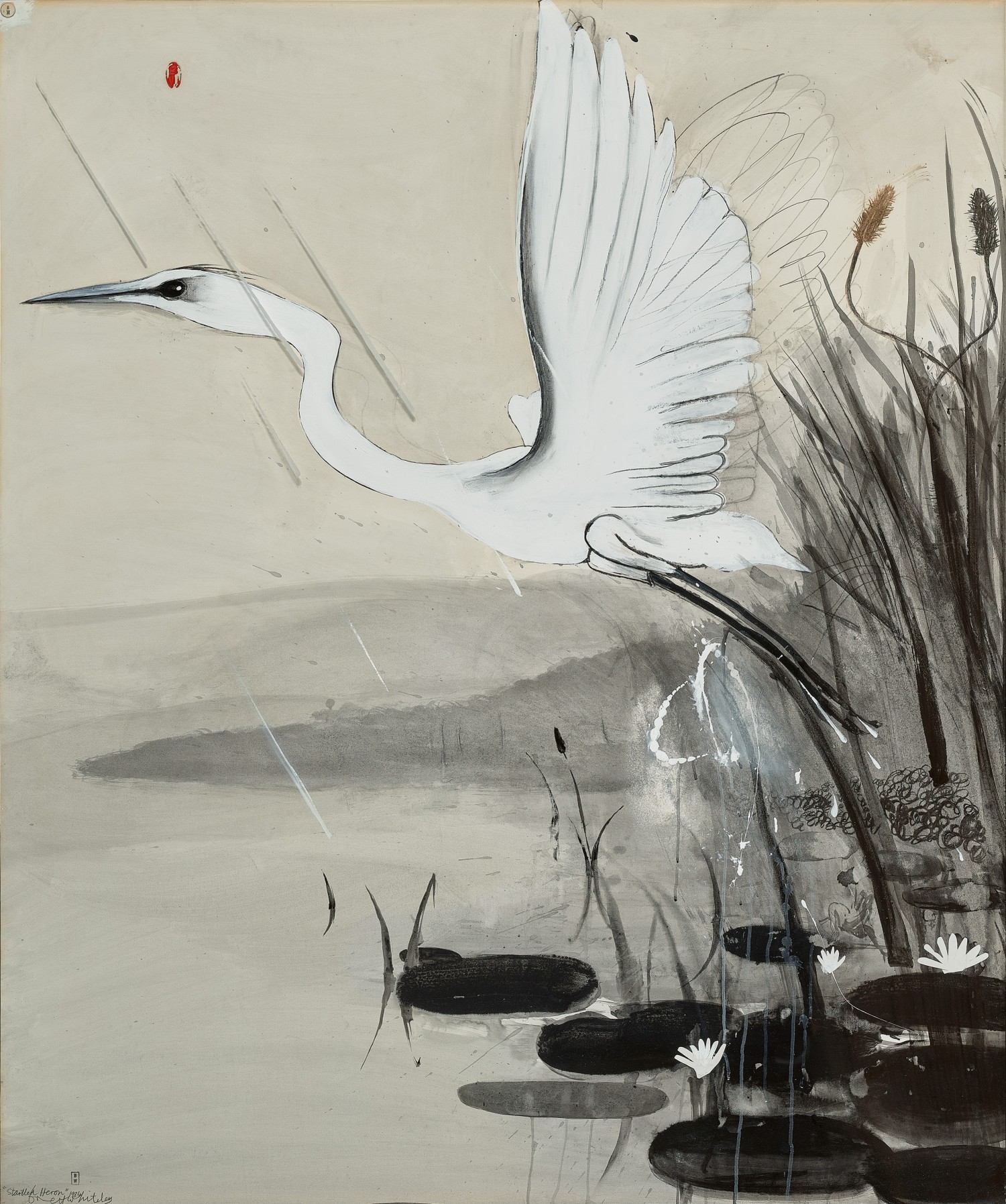 Startled heron