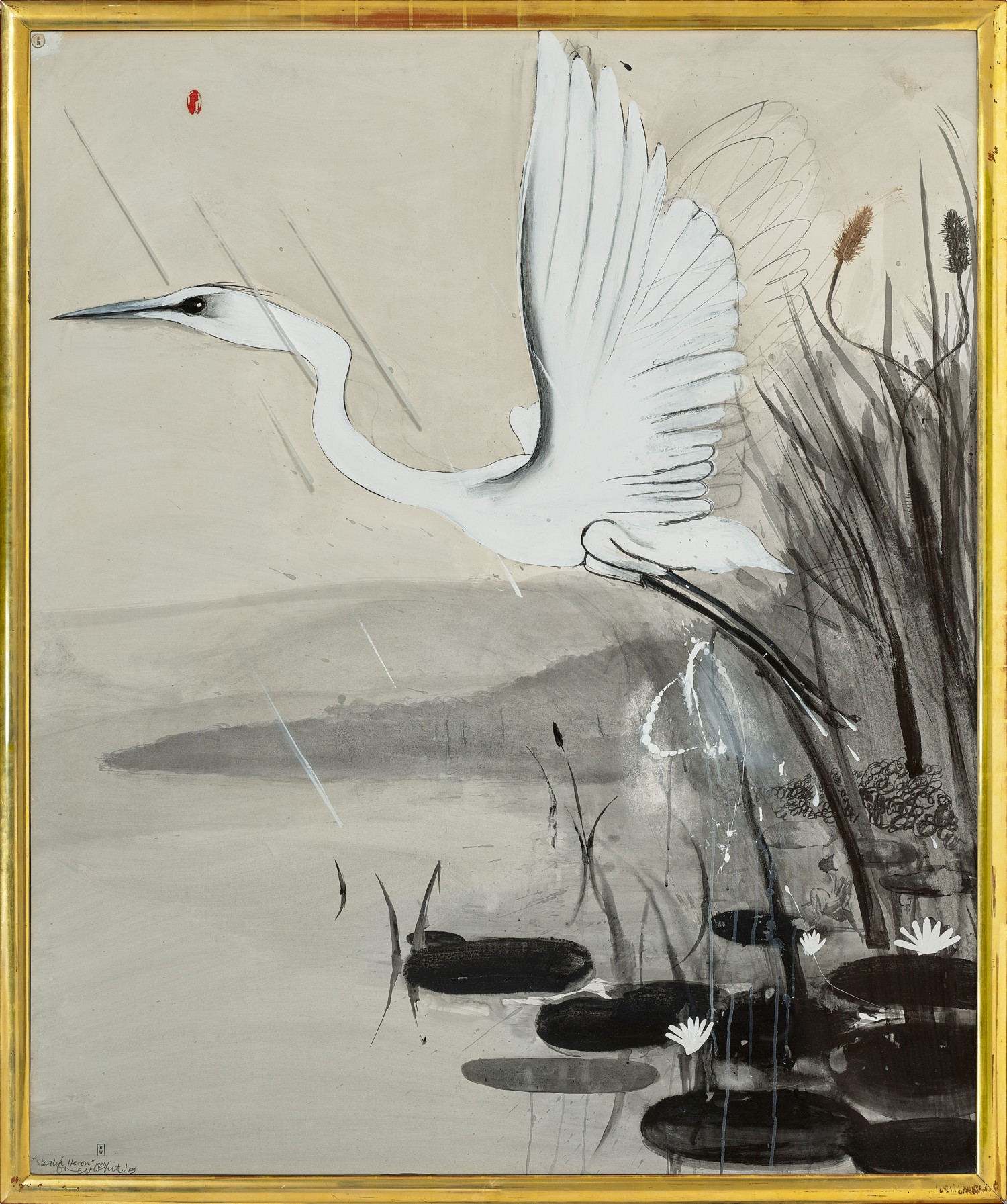 Startled heron
