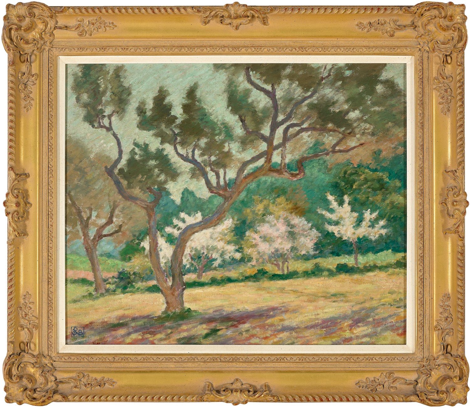 Orchard in springtime