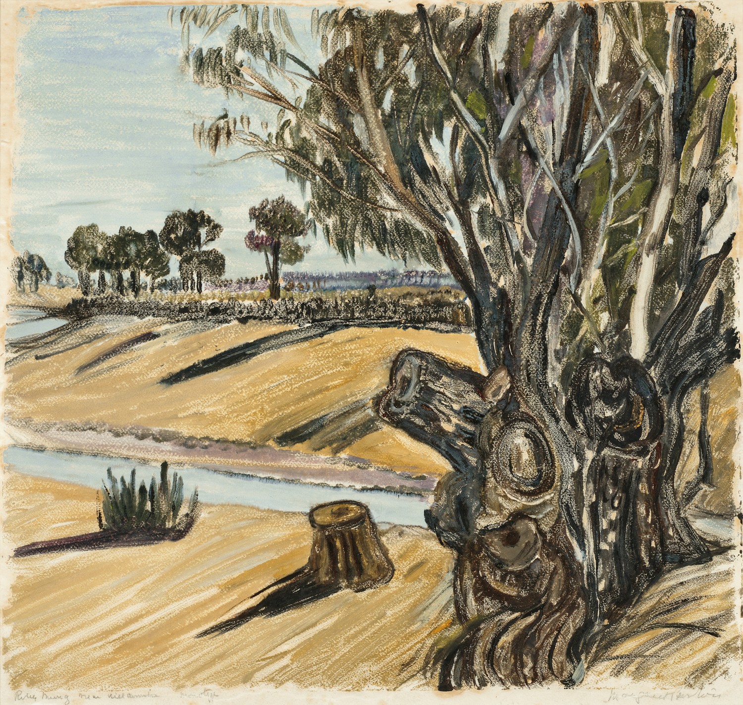 The River Murray, near Wilcannia