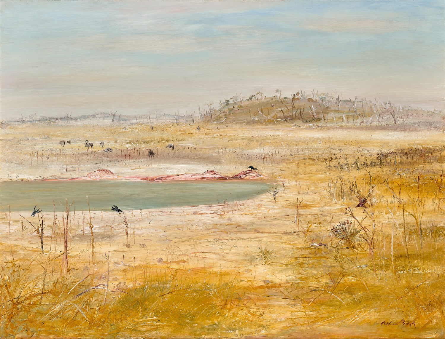 Wimmera landscape