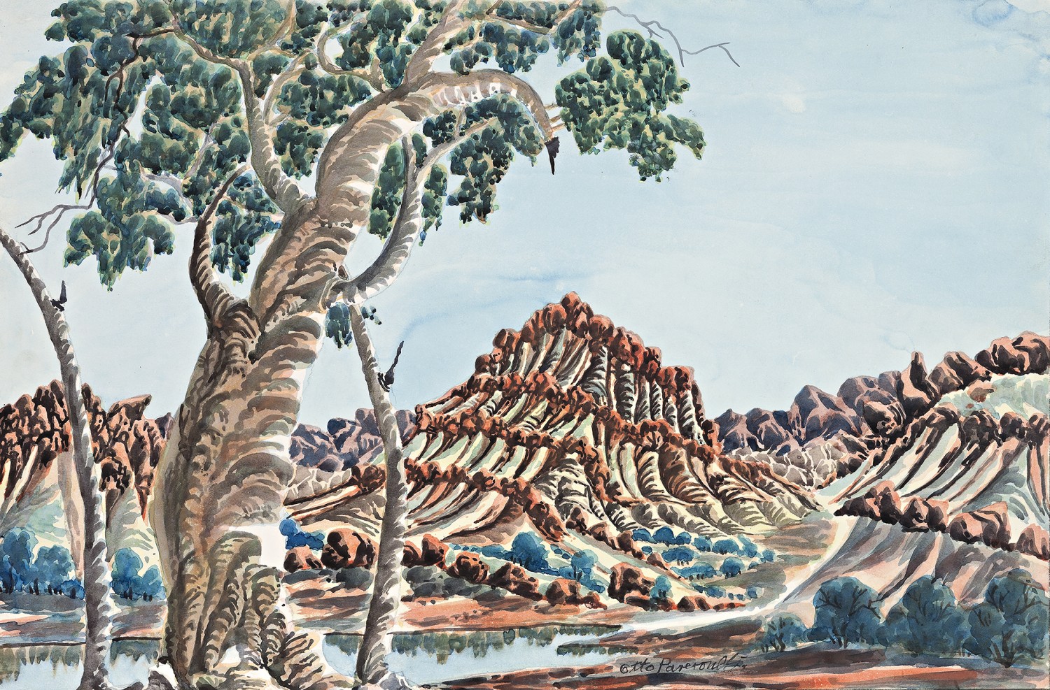 CENTRAL AUSTRALIAN LANDSCAPE