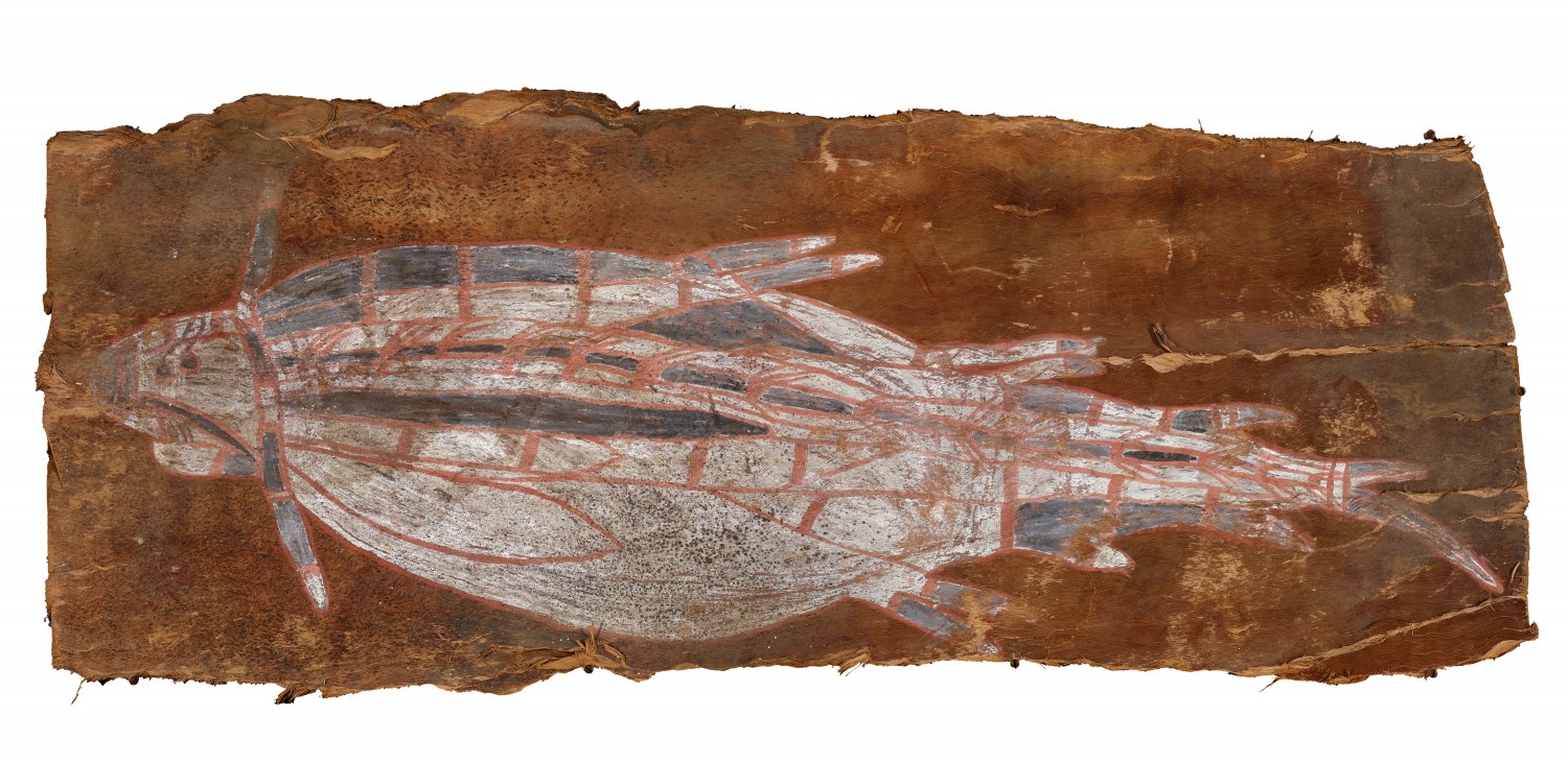 UNTITLED (BARRAMUNDI)