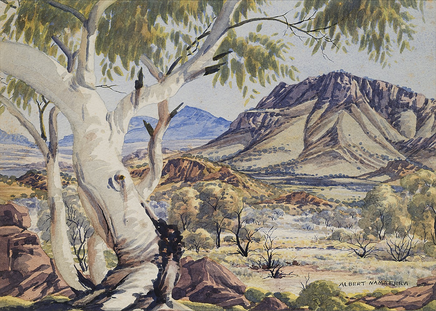 GHOST GUM, CENTRAL AUSTRALIA