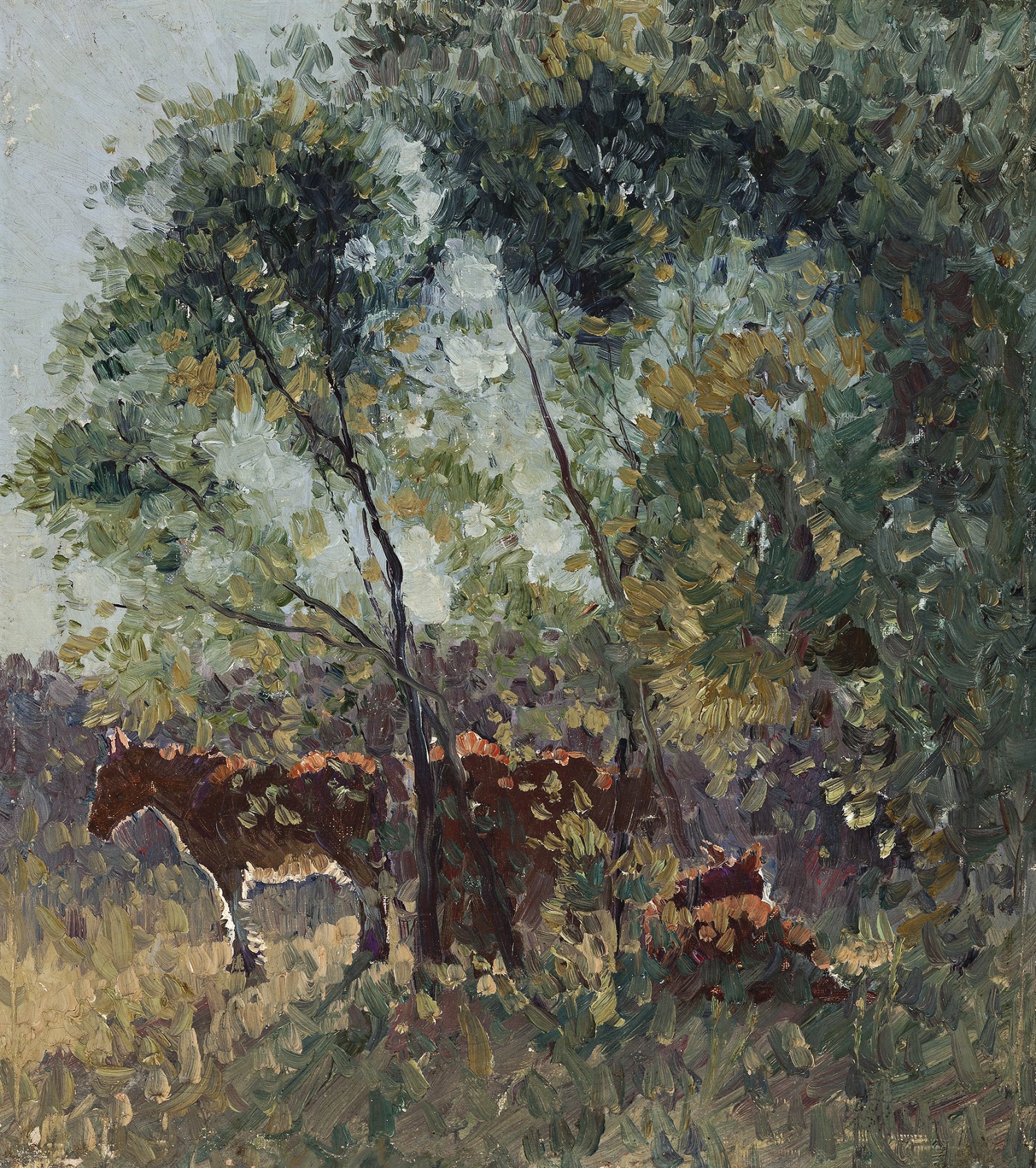 SPRING MORNING