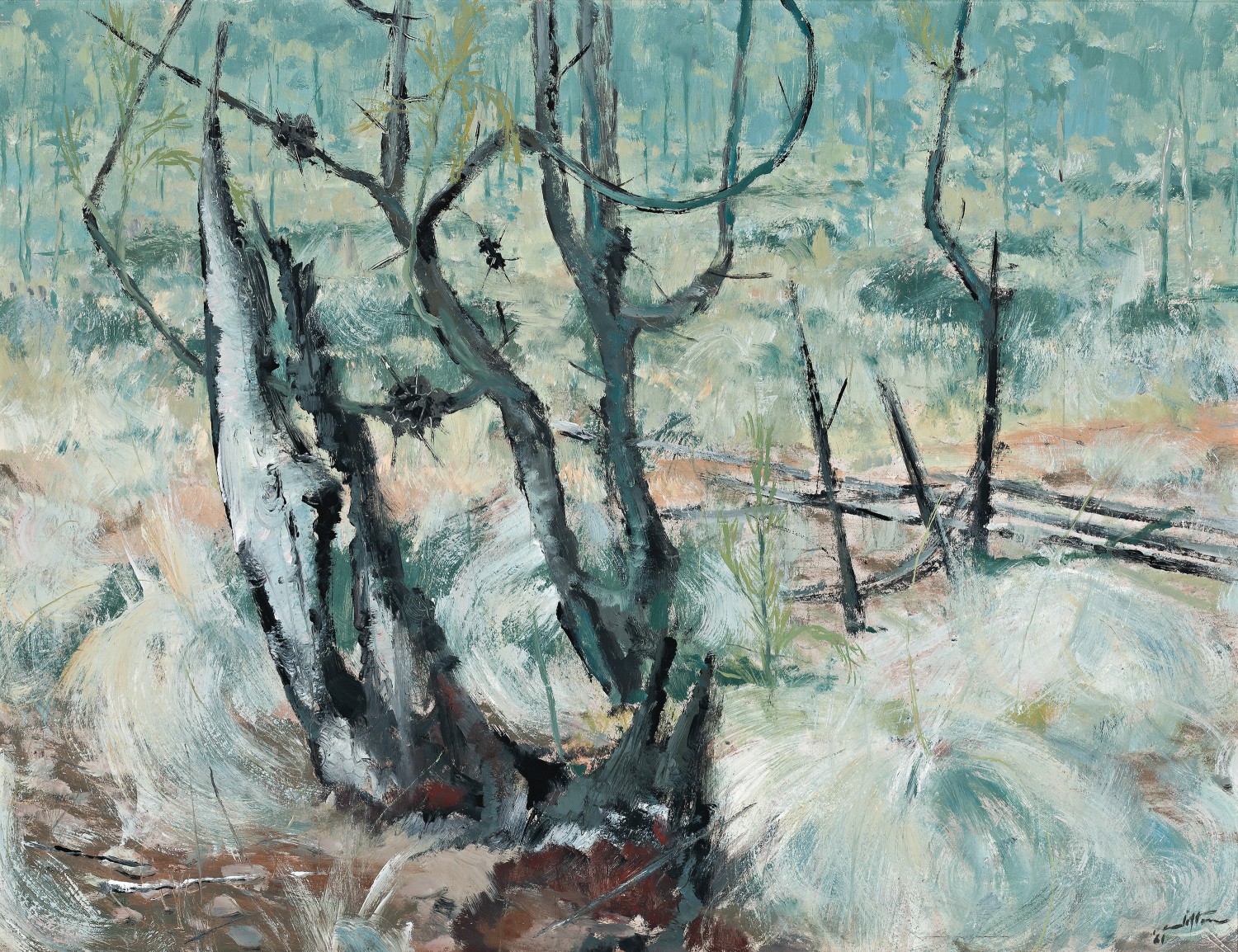 TREES IN LANDSCAPE
