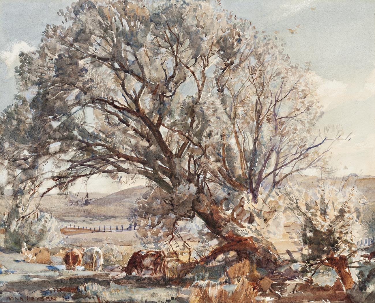 CATTLE GRAZING UNDER THE LEANING GUM, HAHNDORF SA