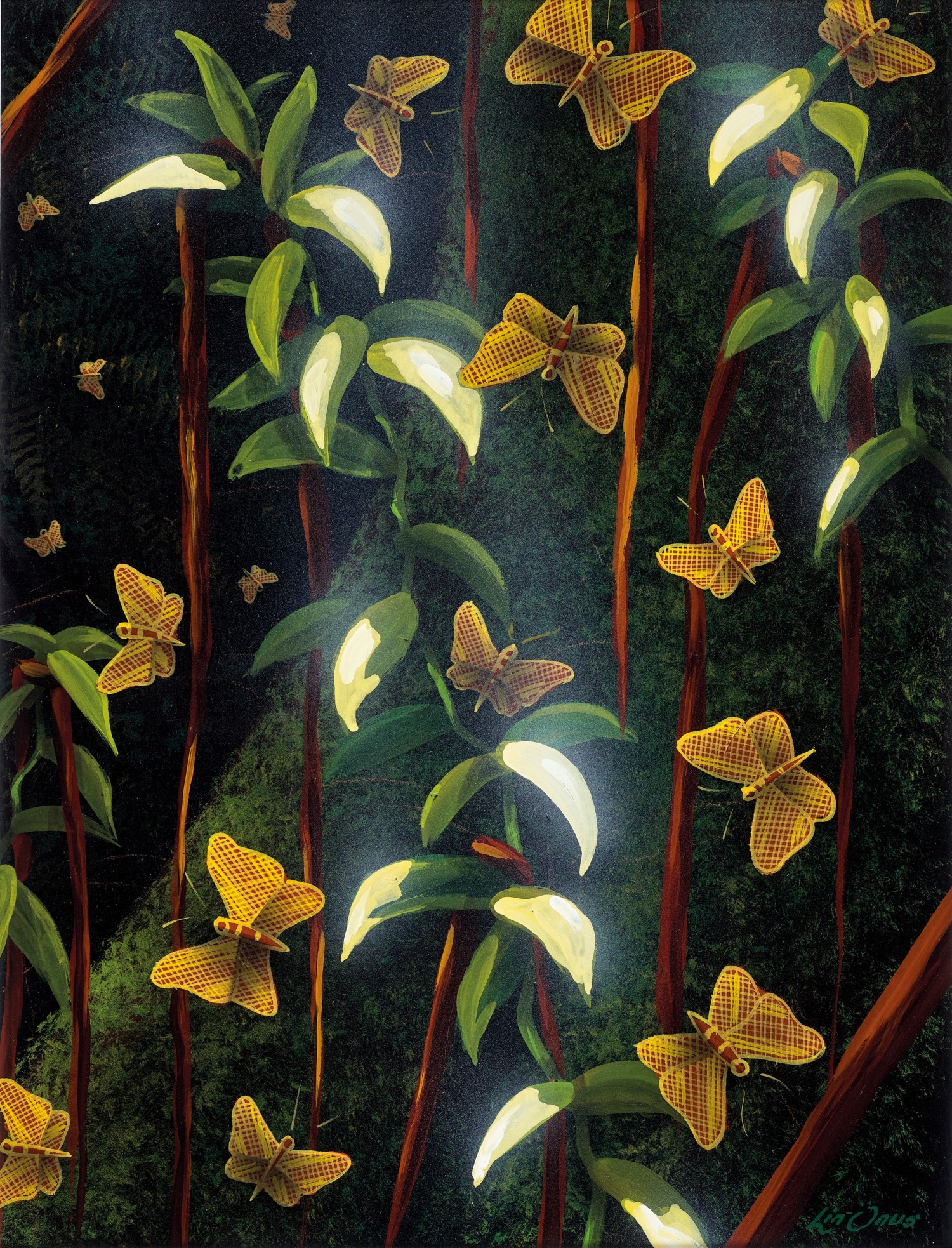 BIRRAKALA (BUTTERFLIES) AT NIGHT