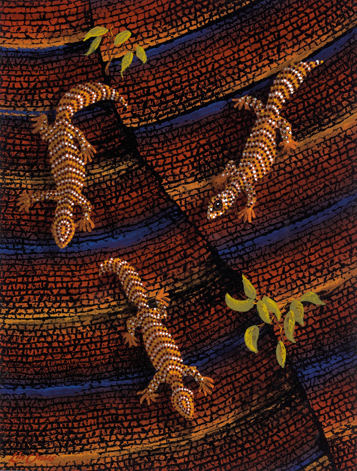 NGAKAYDJIL (LIZARDS)