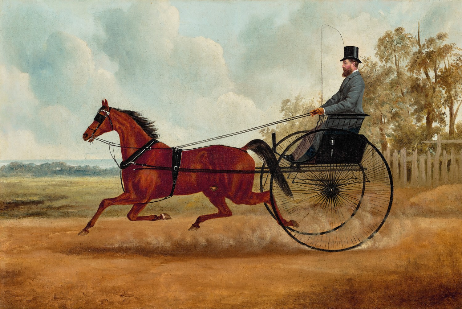 WANDERER – PROPERTY OF P. G. DIXON ESQ.,
