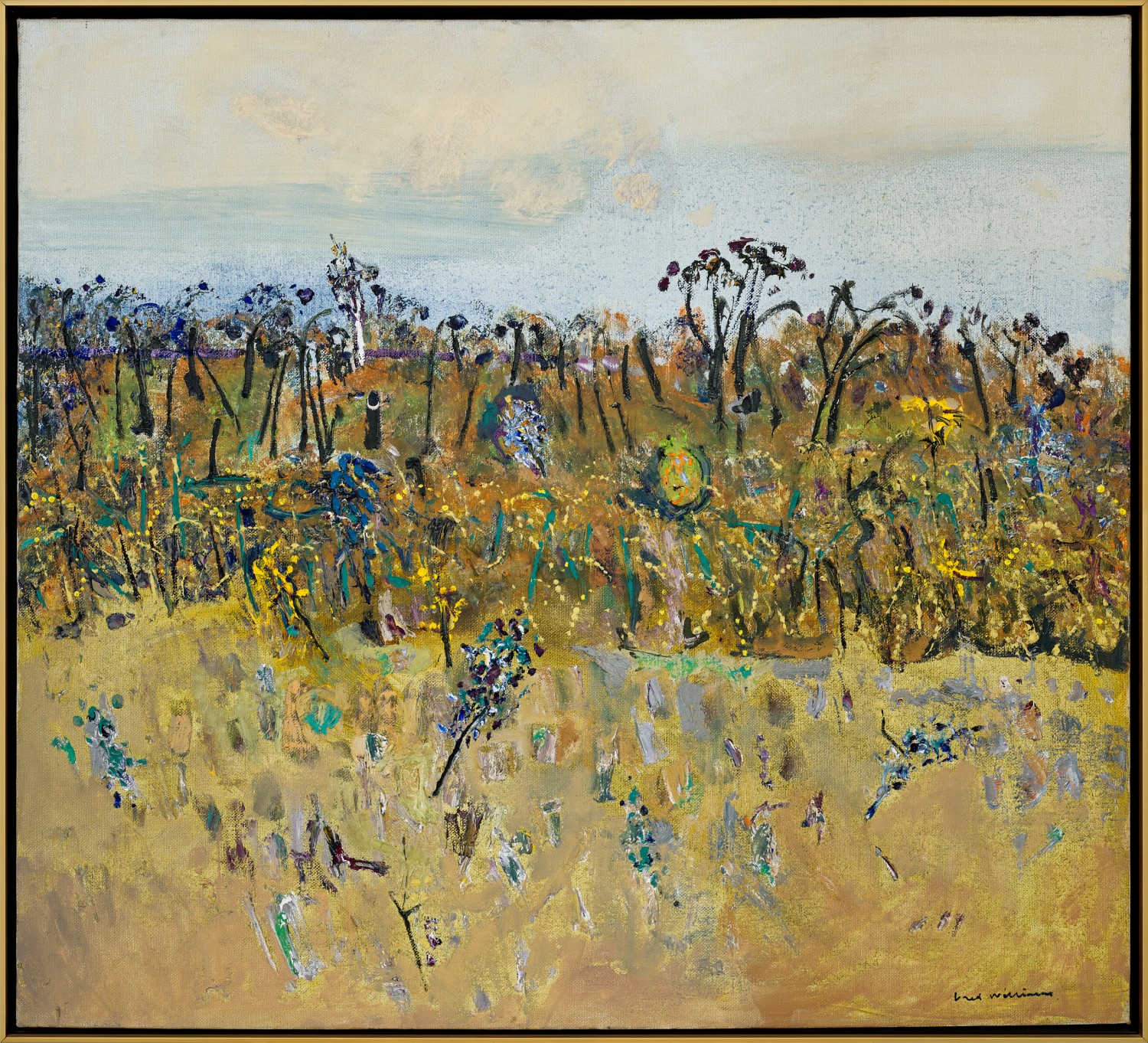 COOTAMUNDRA WATTLES – BOTANIST’S GARDEN