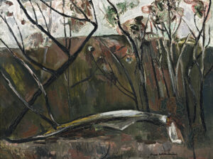 Fred Williams, FALLEN TREE