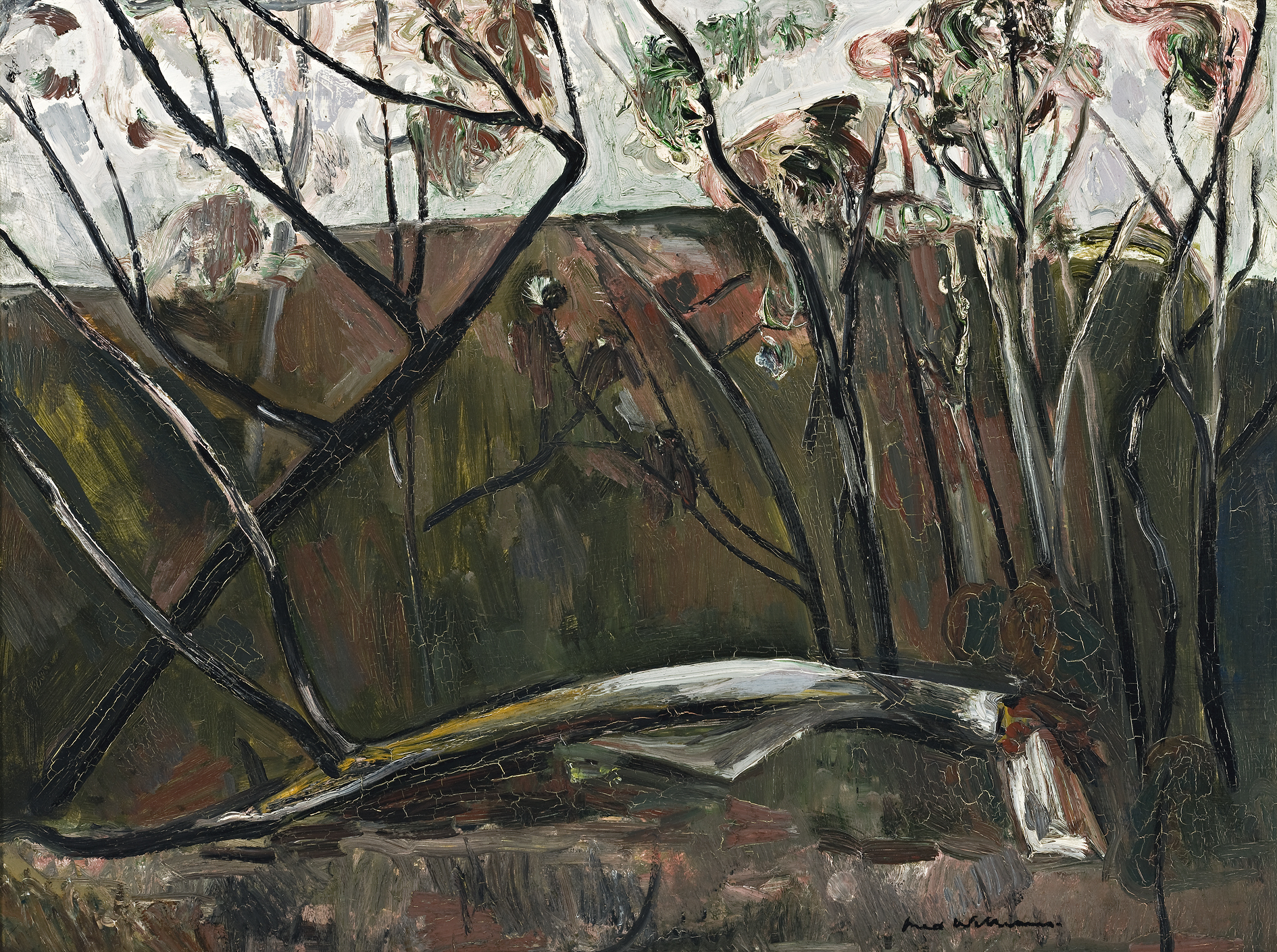FALLEN TREE