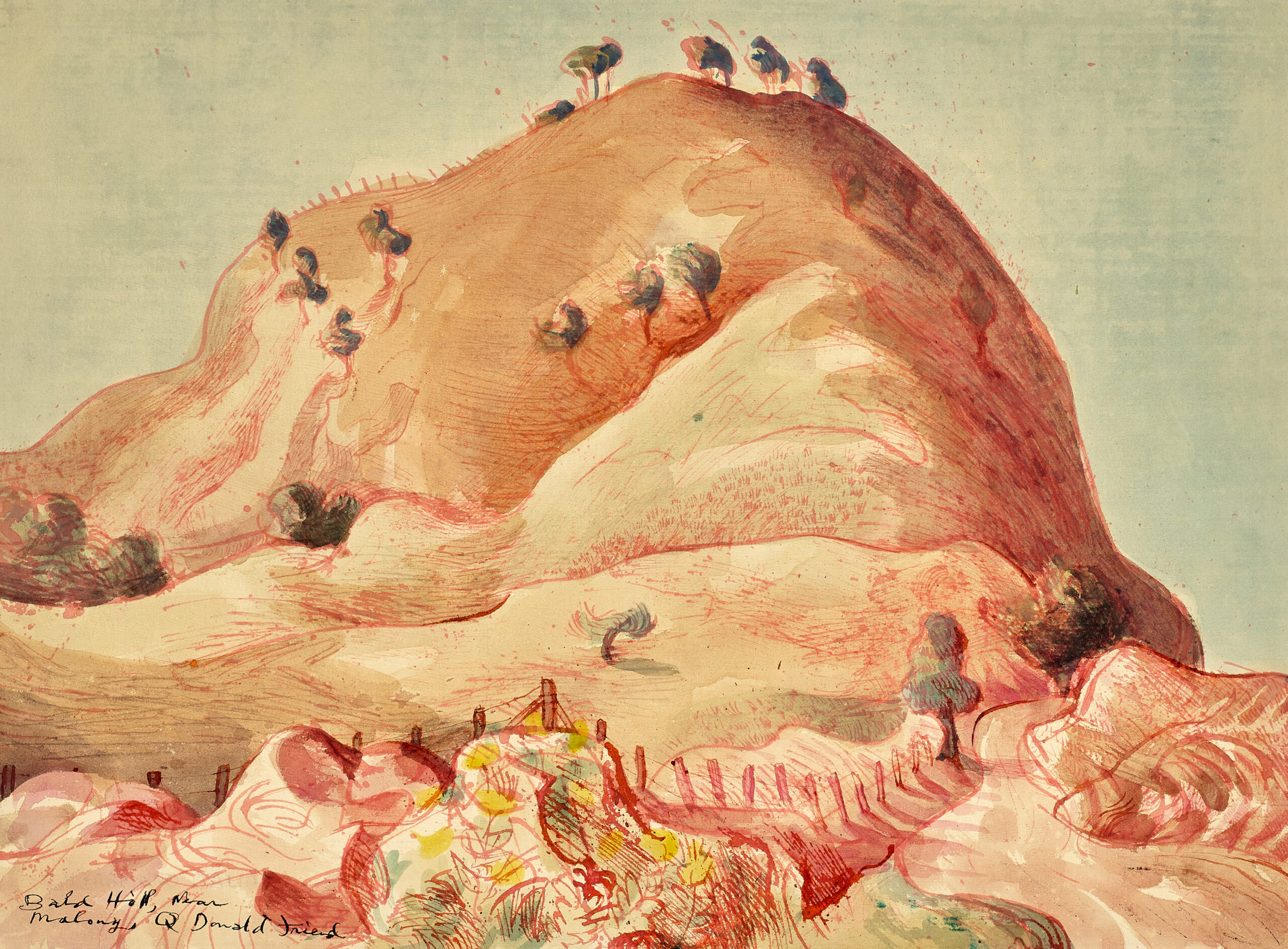 Bald Hill near Maleny, Queensland