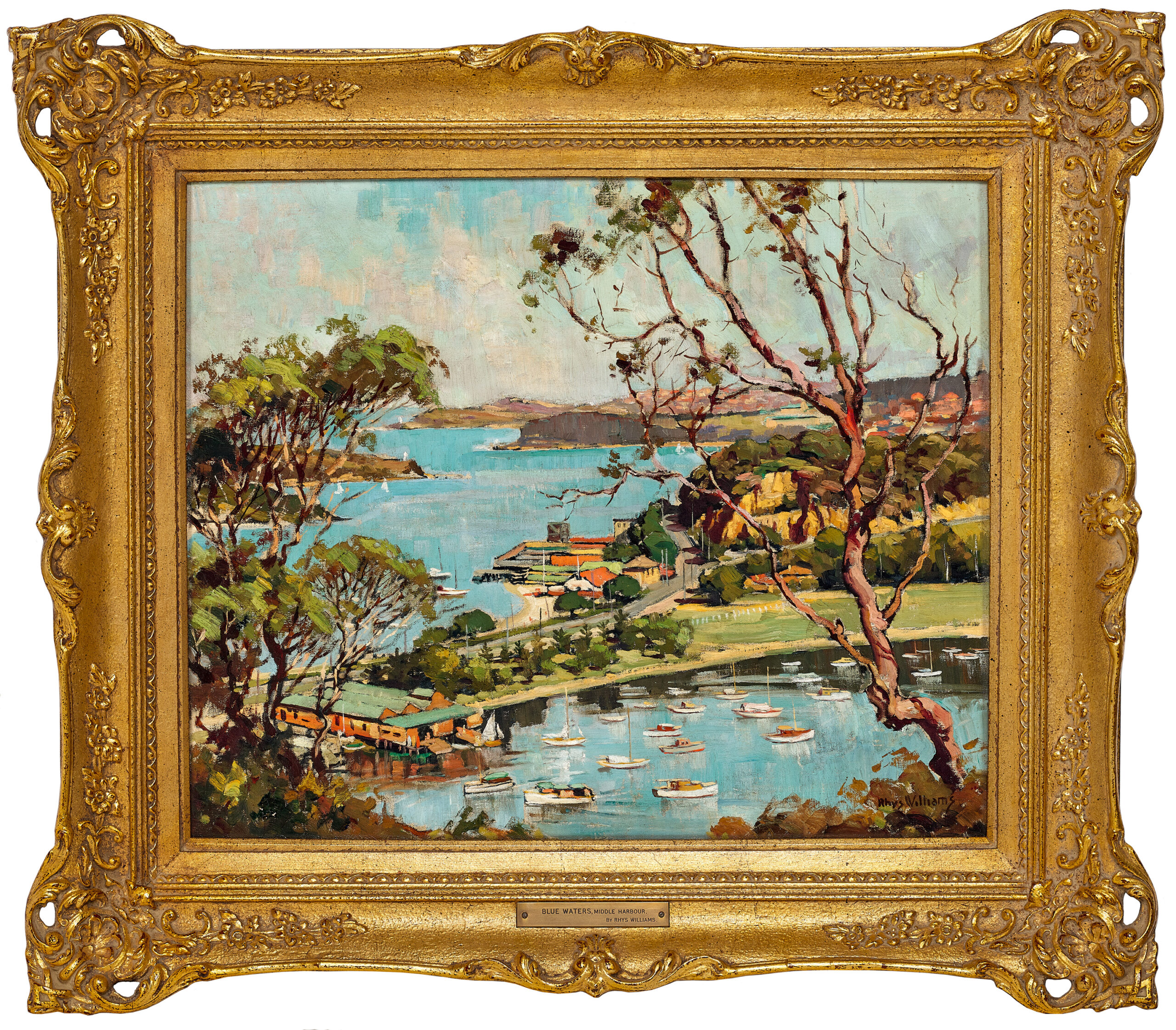 Blues waters, Middle Harbour