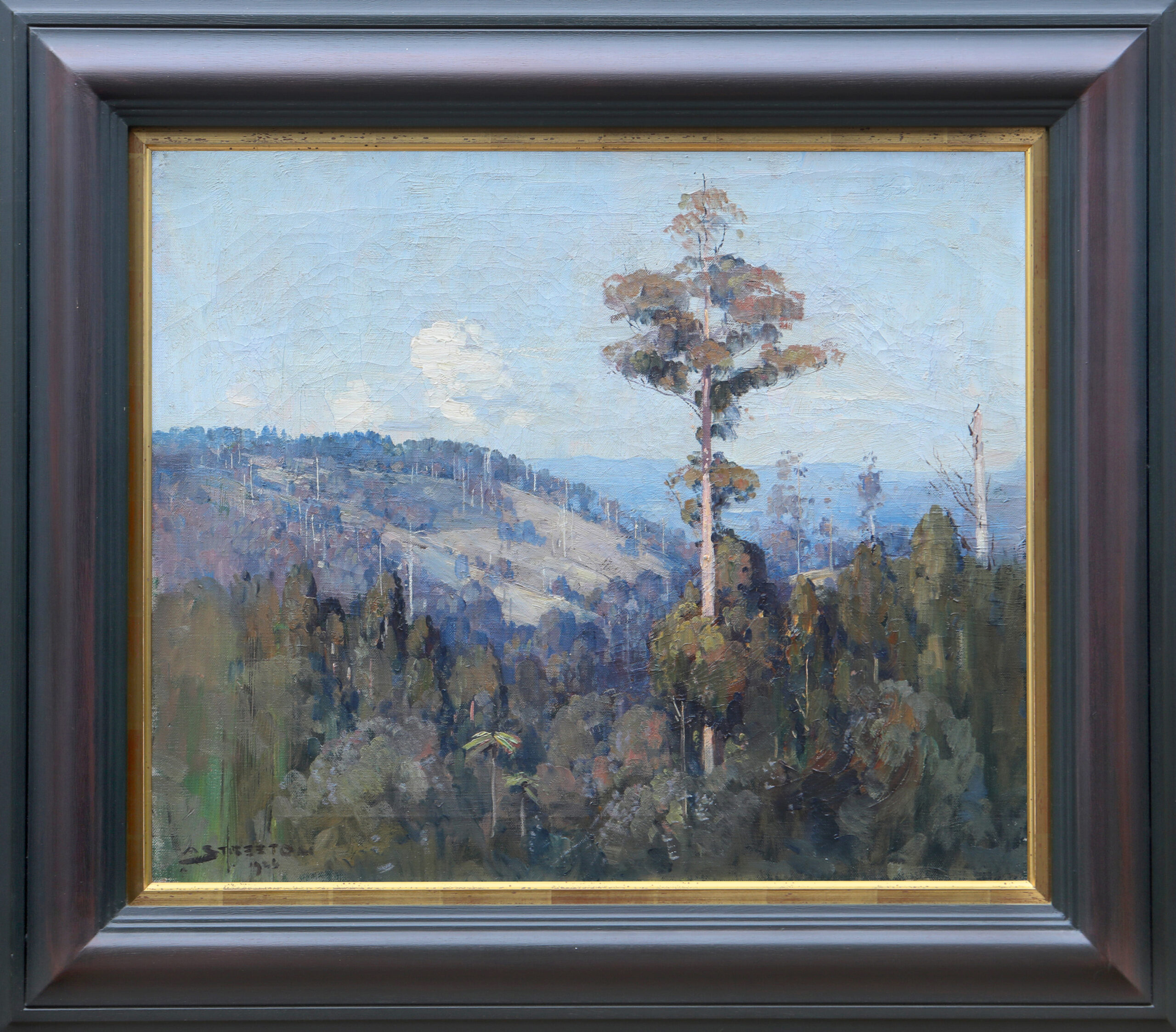 Landscape