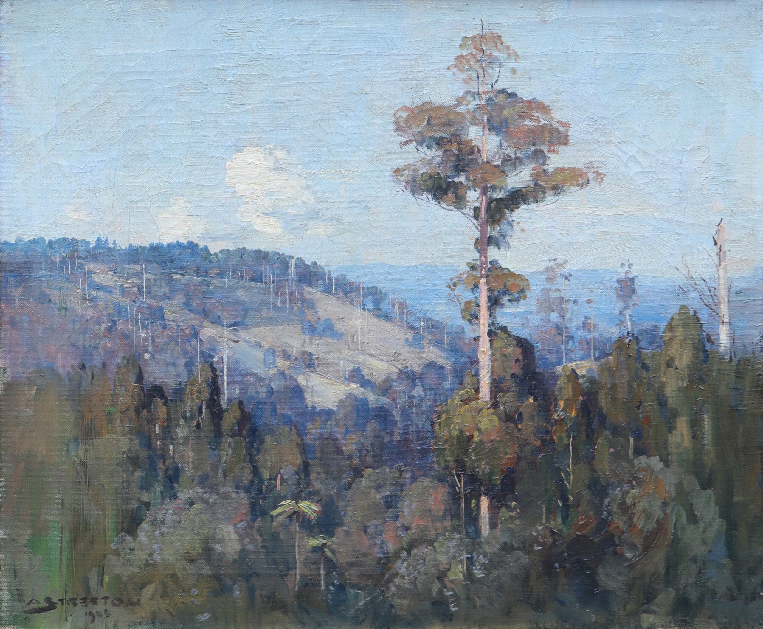 Landscape