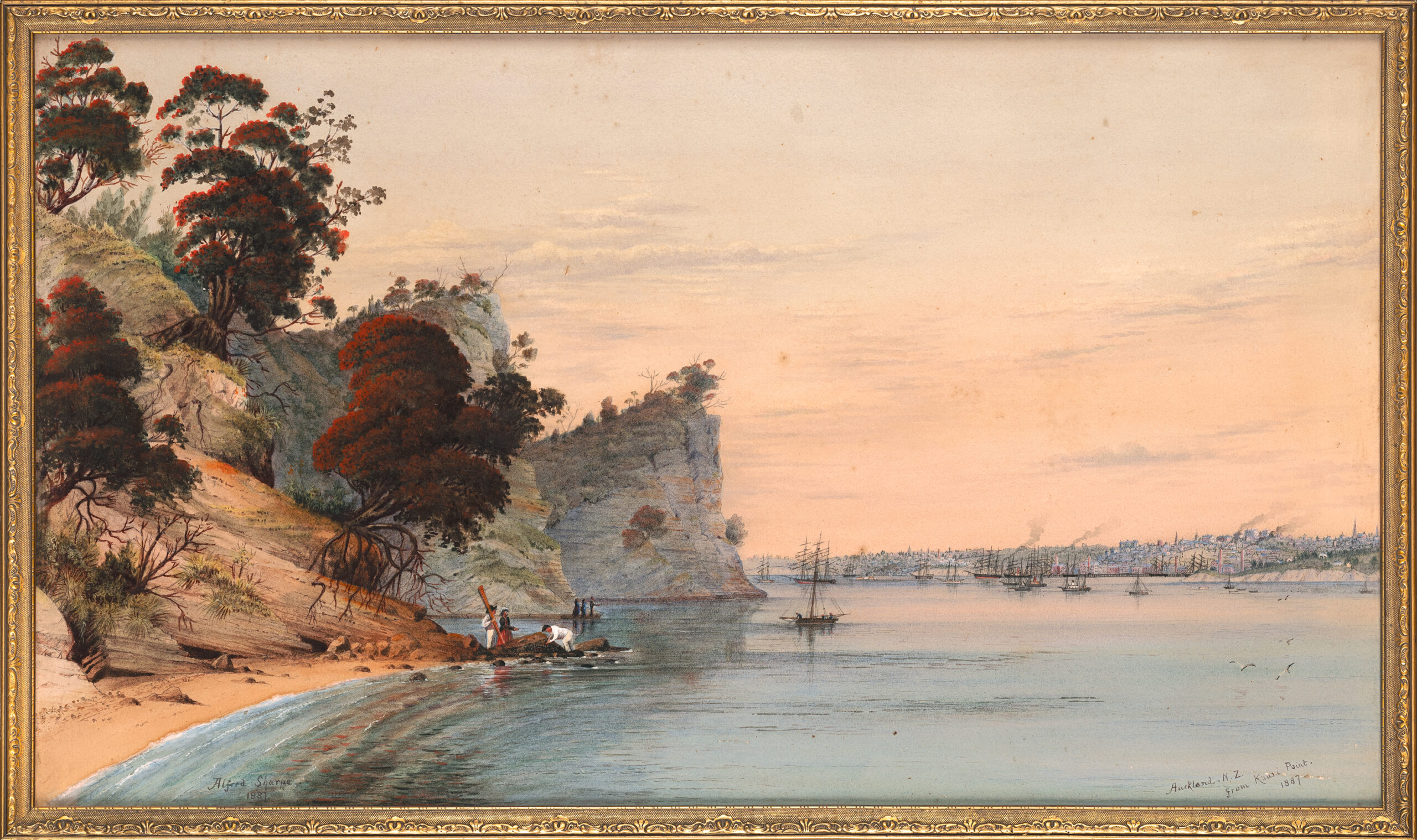 Auckland, New Zealand – from Kauri Point