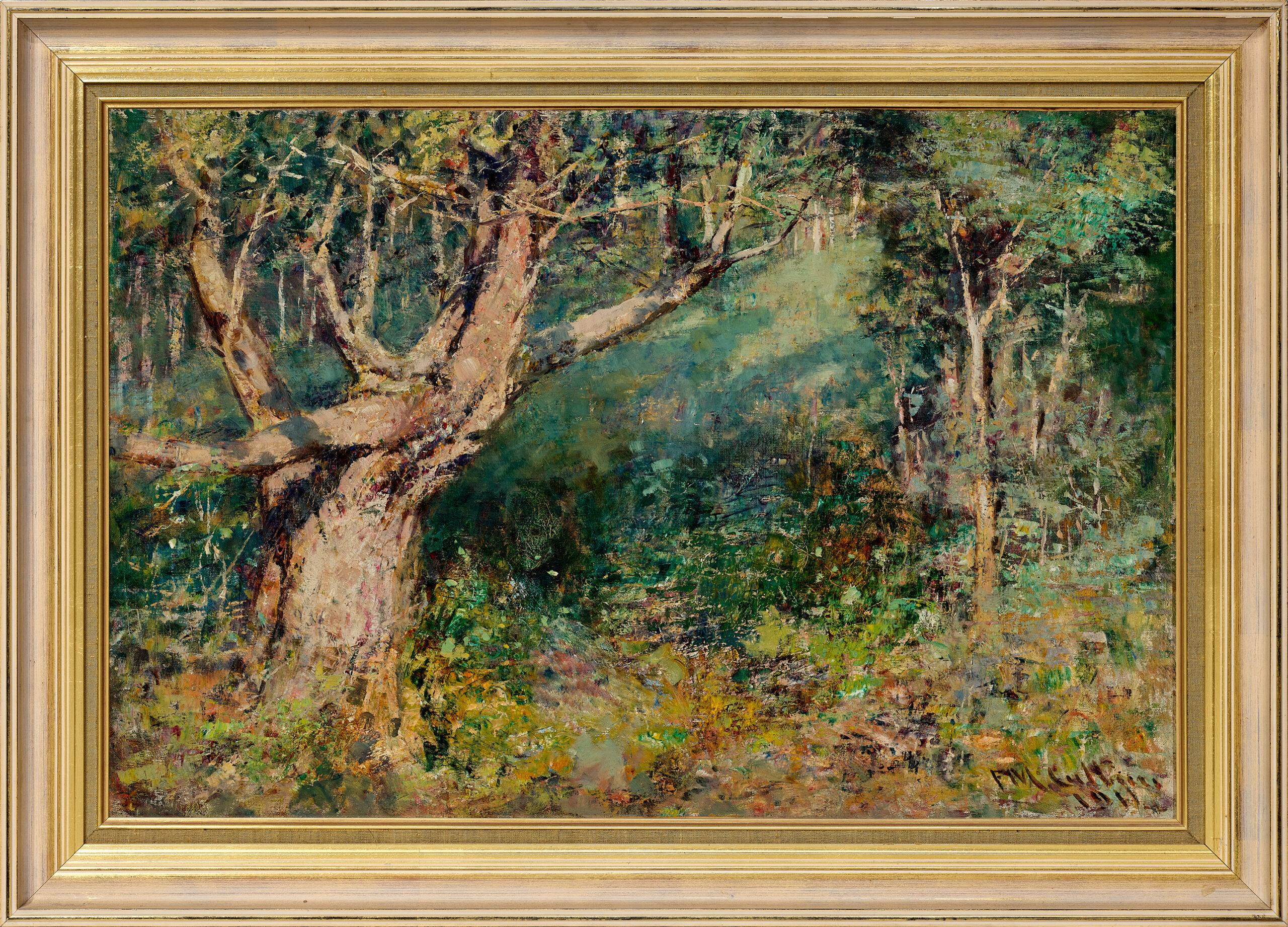 The Blackwood tree