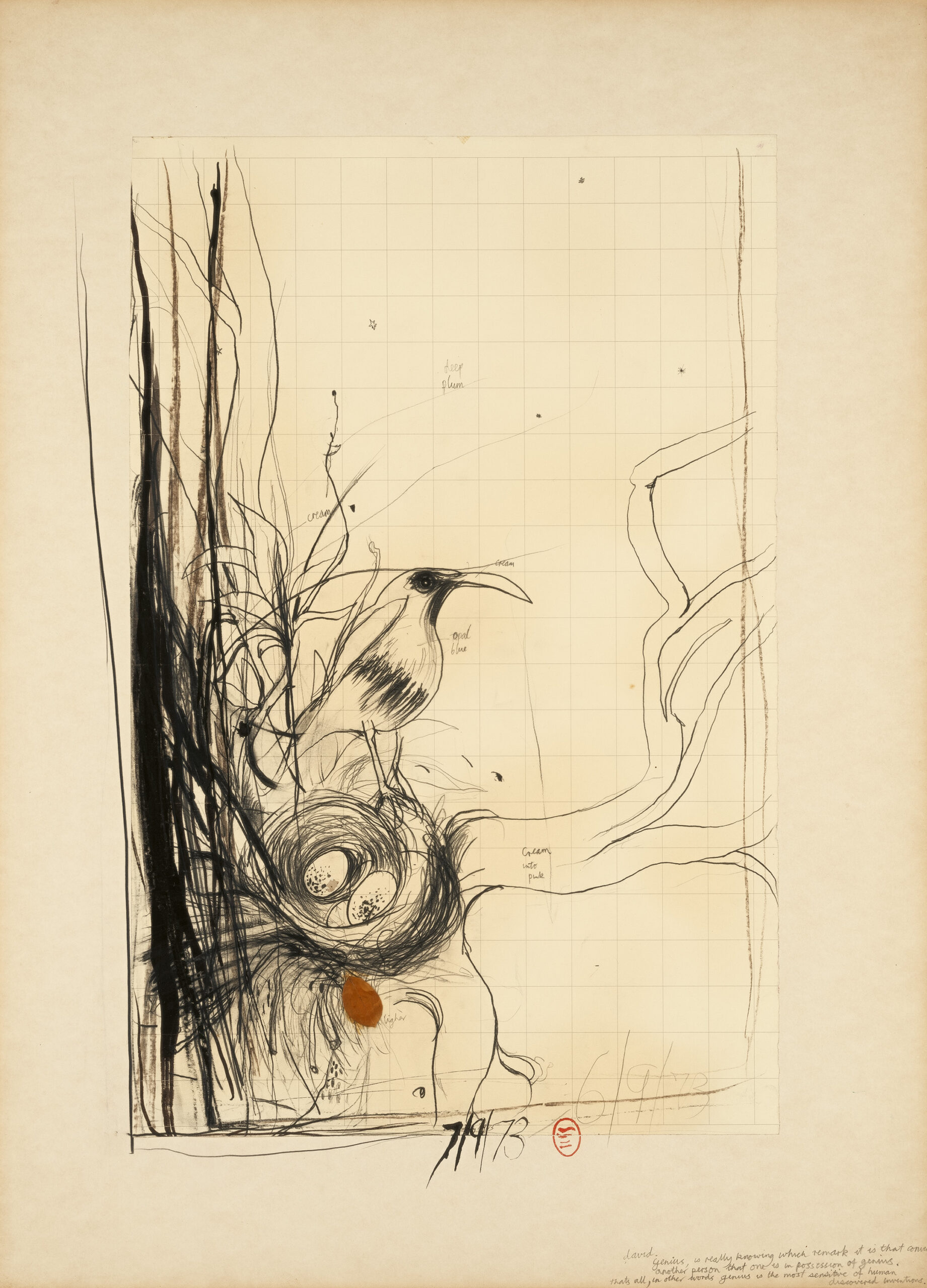 (Study for a bird’s nest)