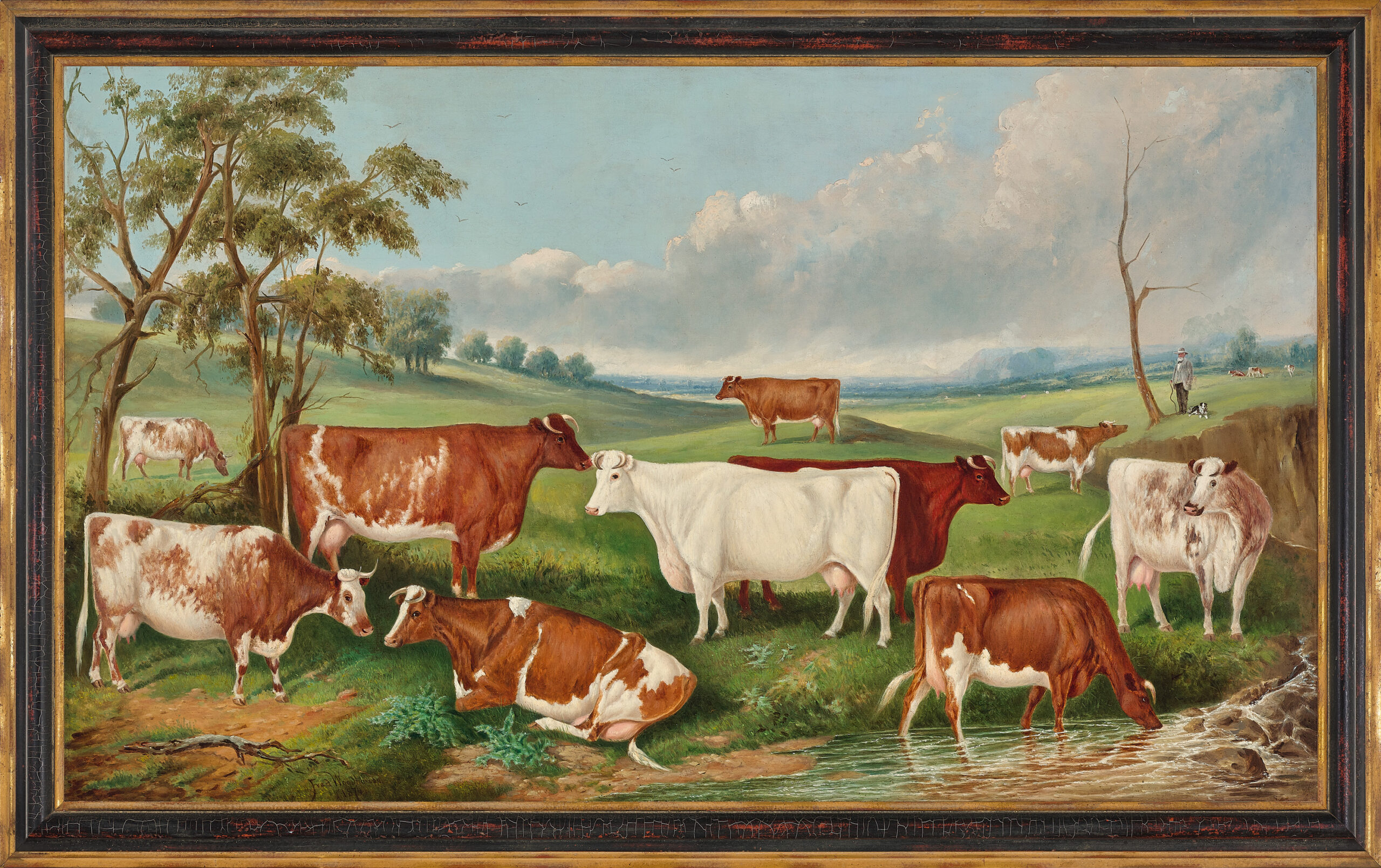 Mr Henry Stevenson’s herd, Niddrie, Essendon