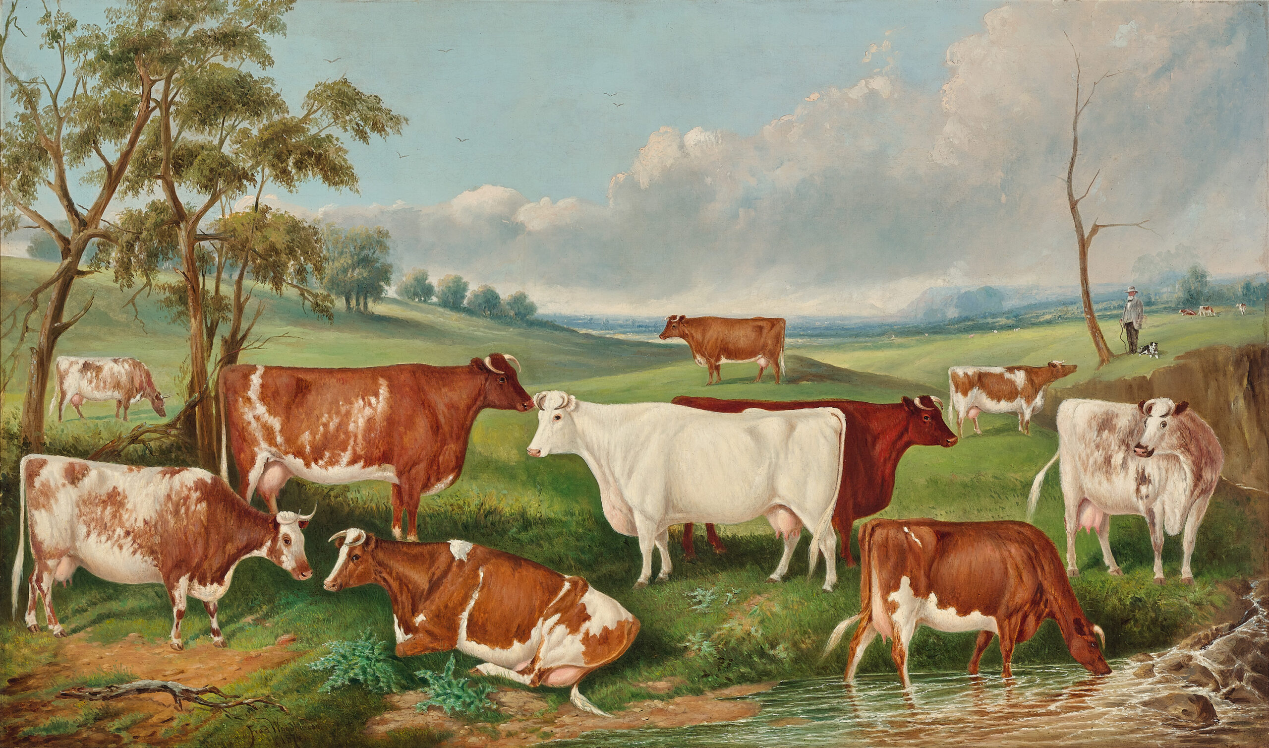 Mr Henry Stevenson’s herd, Niddrie, Essendon