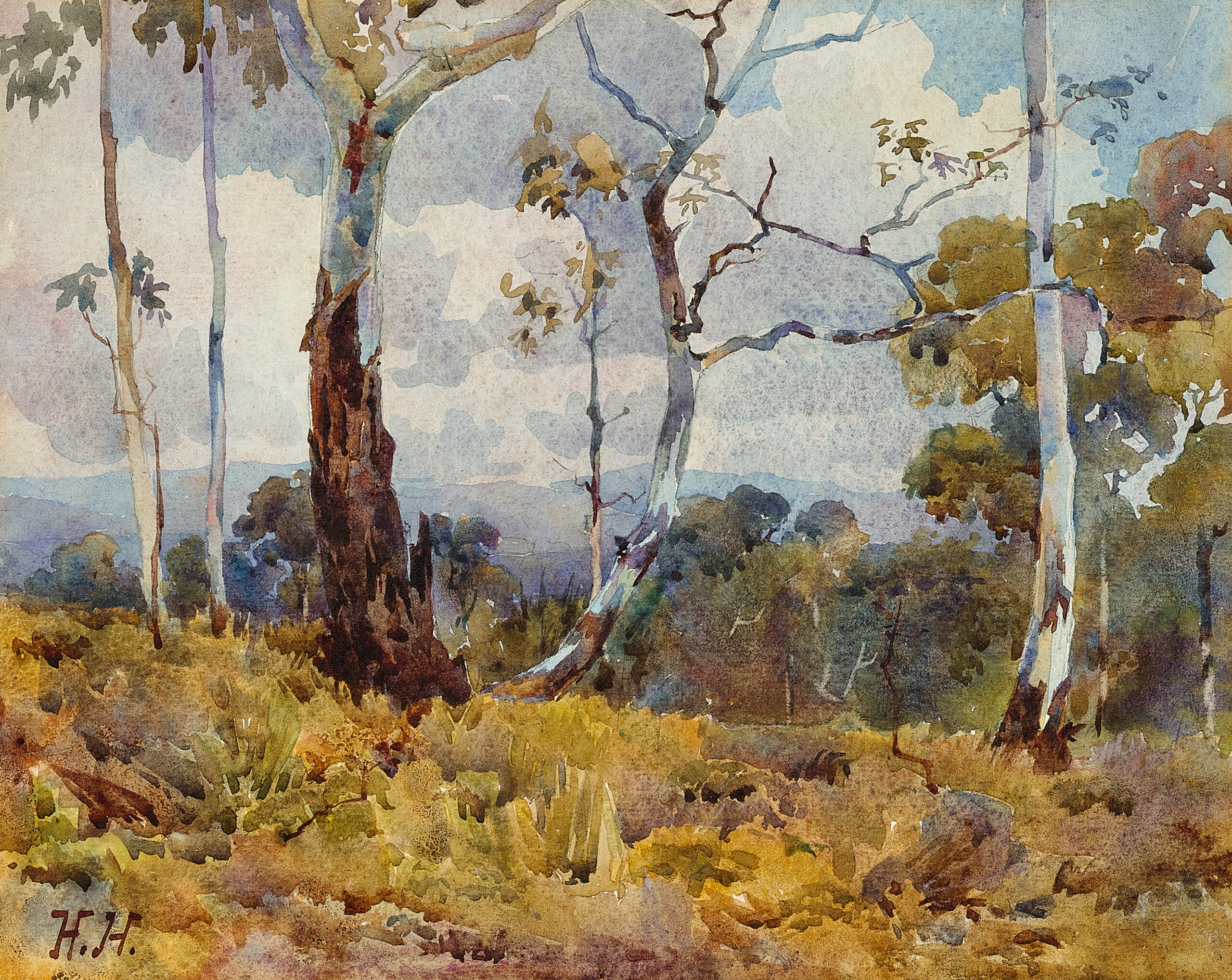 Landscape